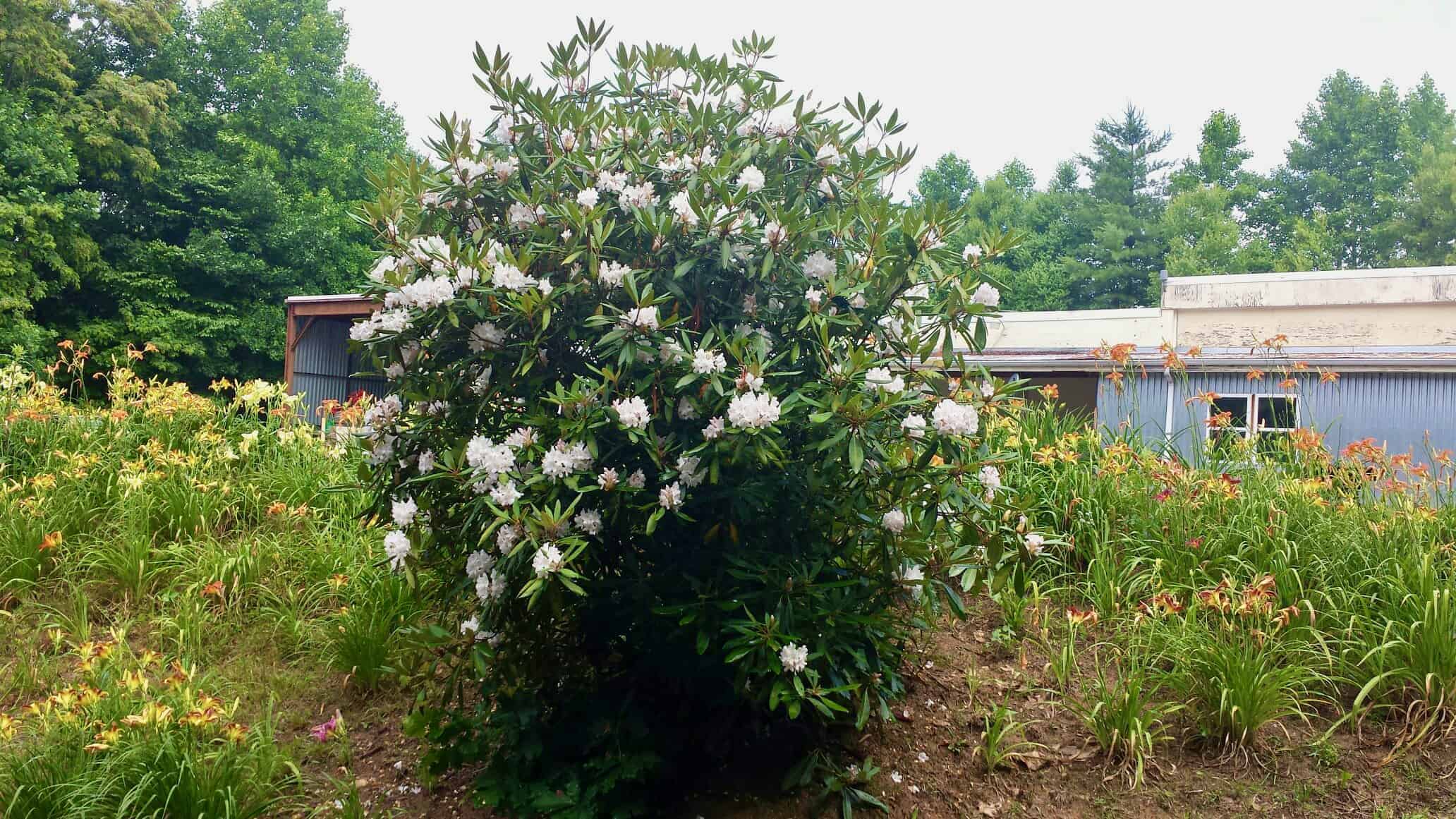 350 Henredon Road Spruce Pine NC 28777