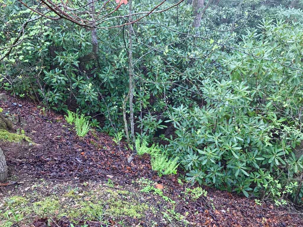 350 Henredon Road Spruce Pine NC 28777