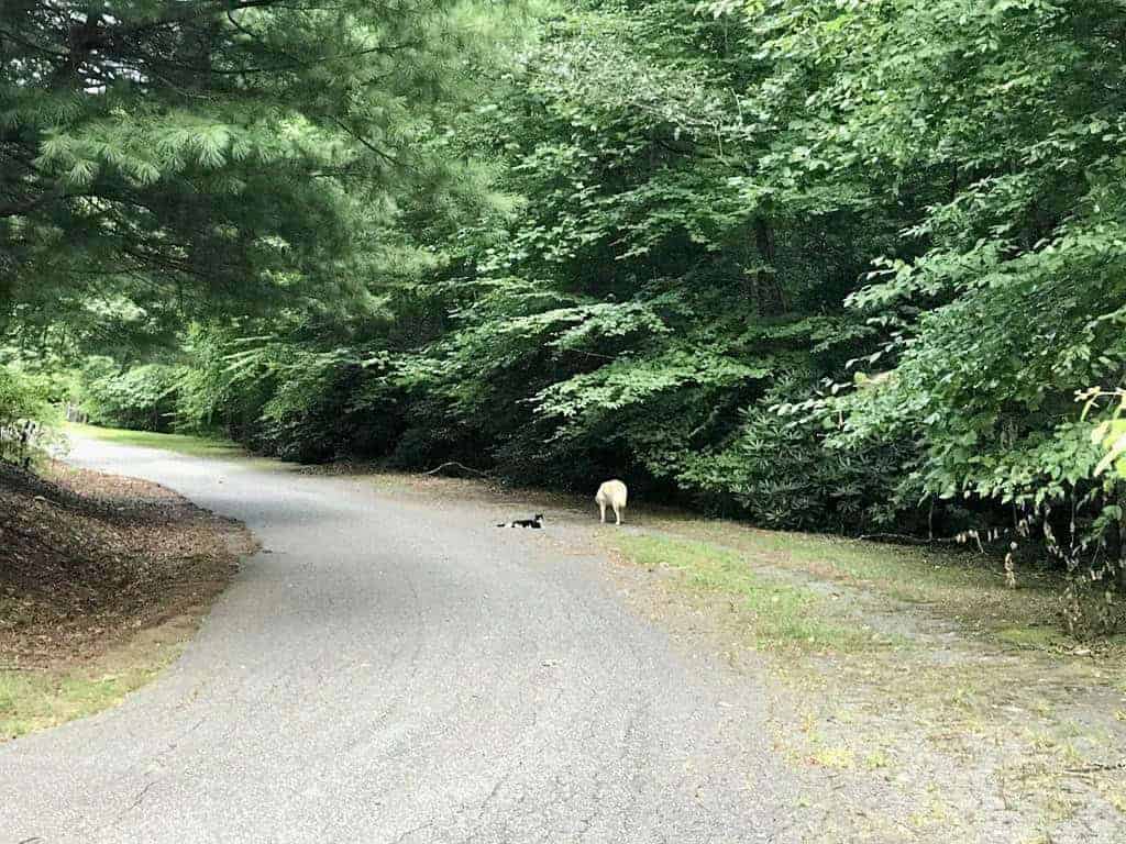 350 Henredon Road Spruce Pine NC 28777