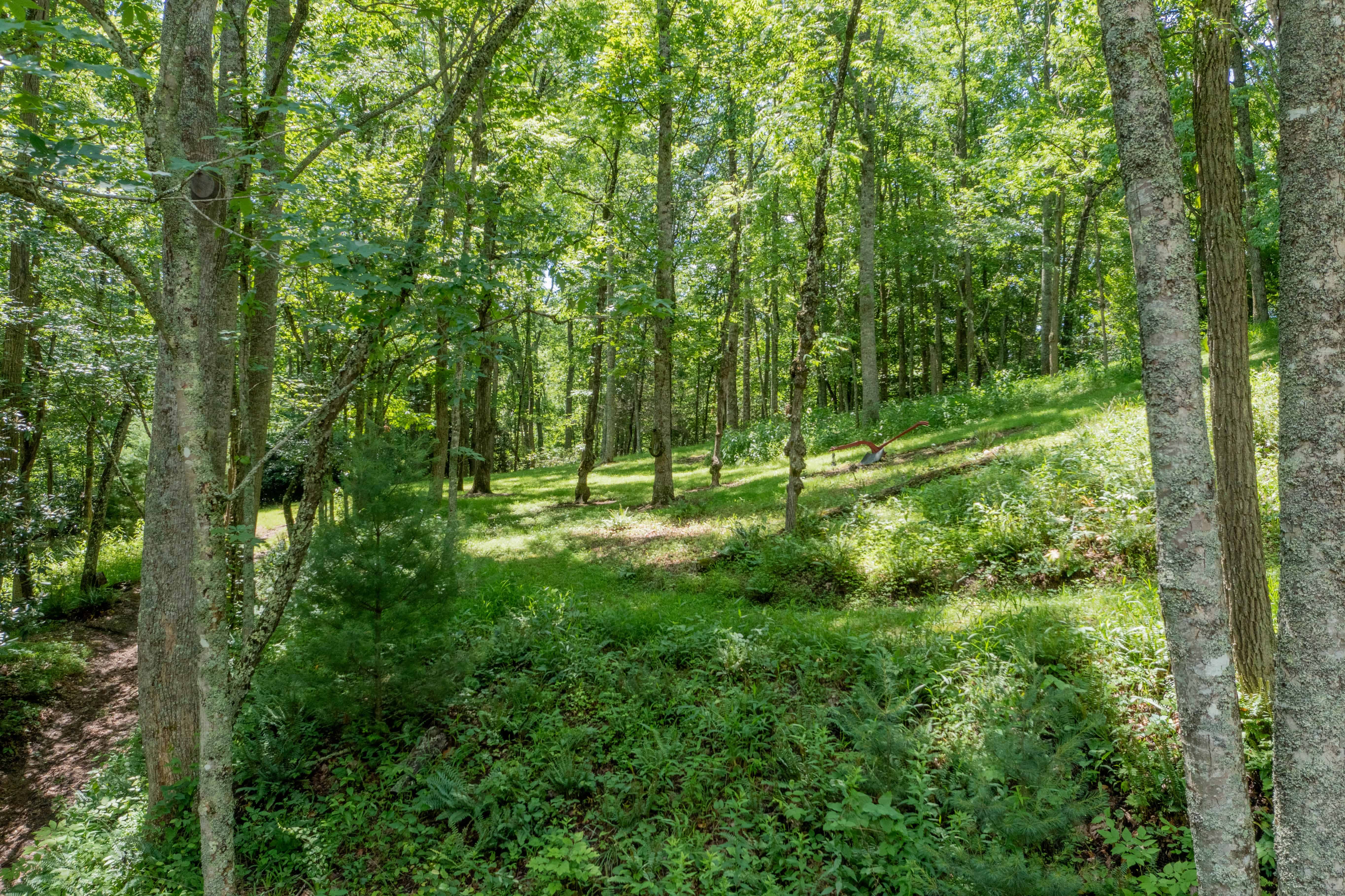 000 Gurley Road Burnsville NC 28714