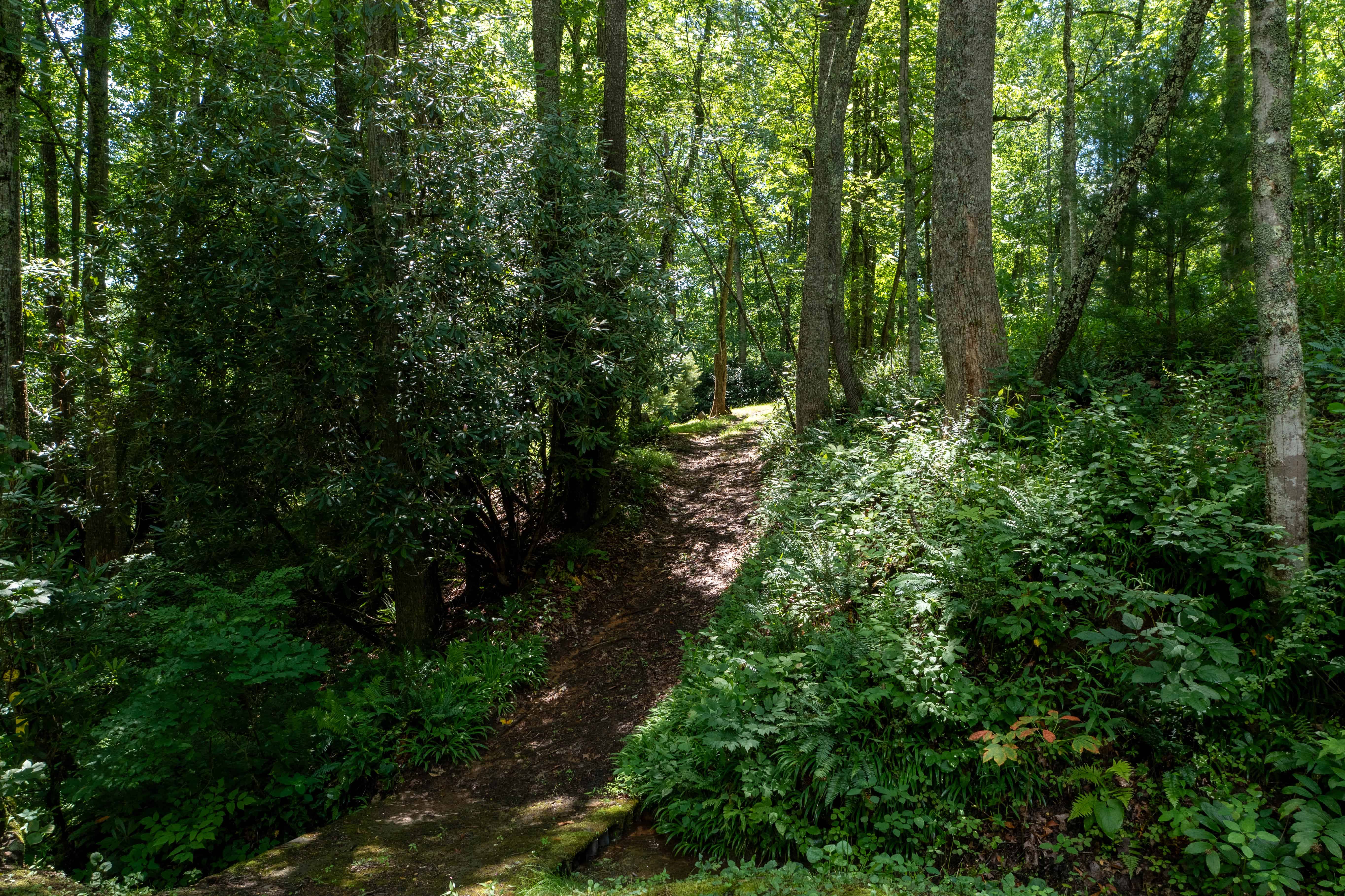 000 Gurley Road Burnsville NC 28714