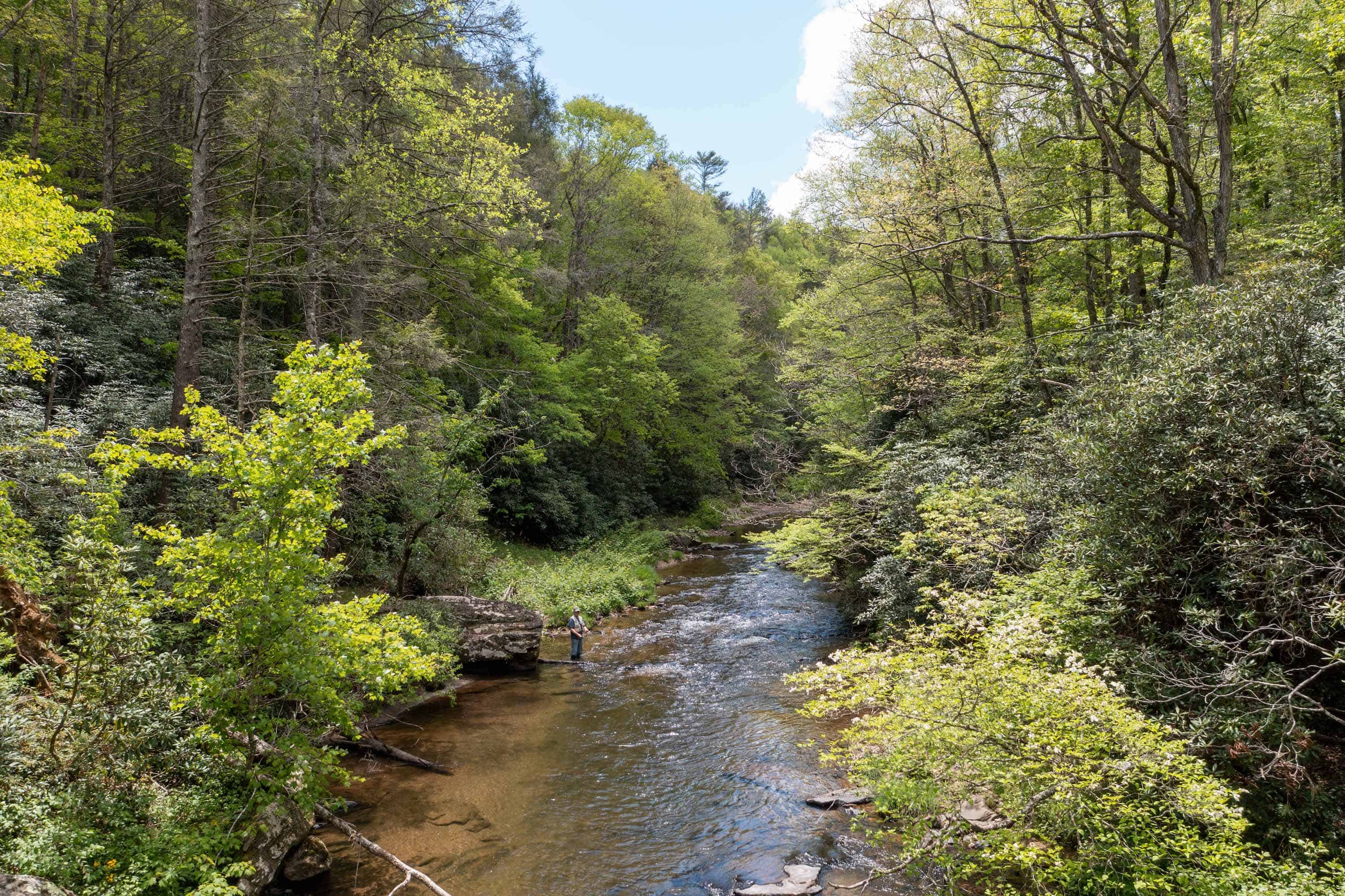 000 Gurley Road Burnsville NC 28714