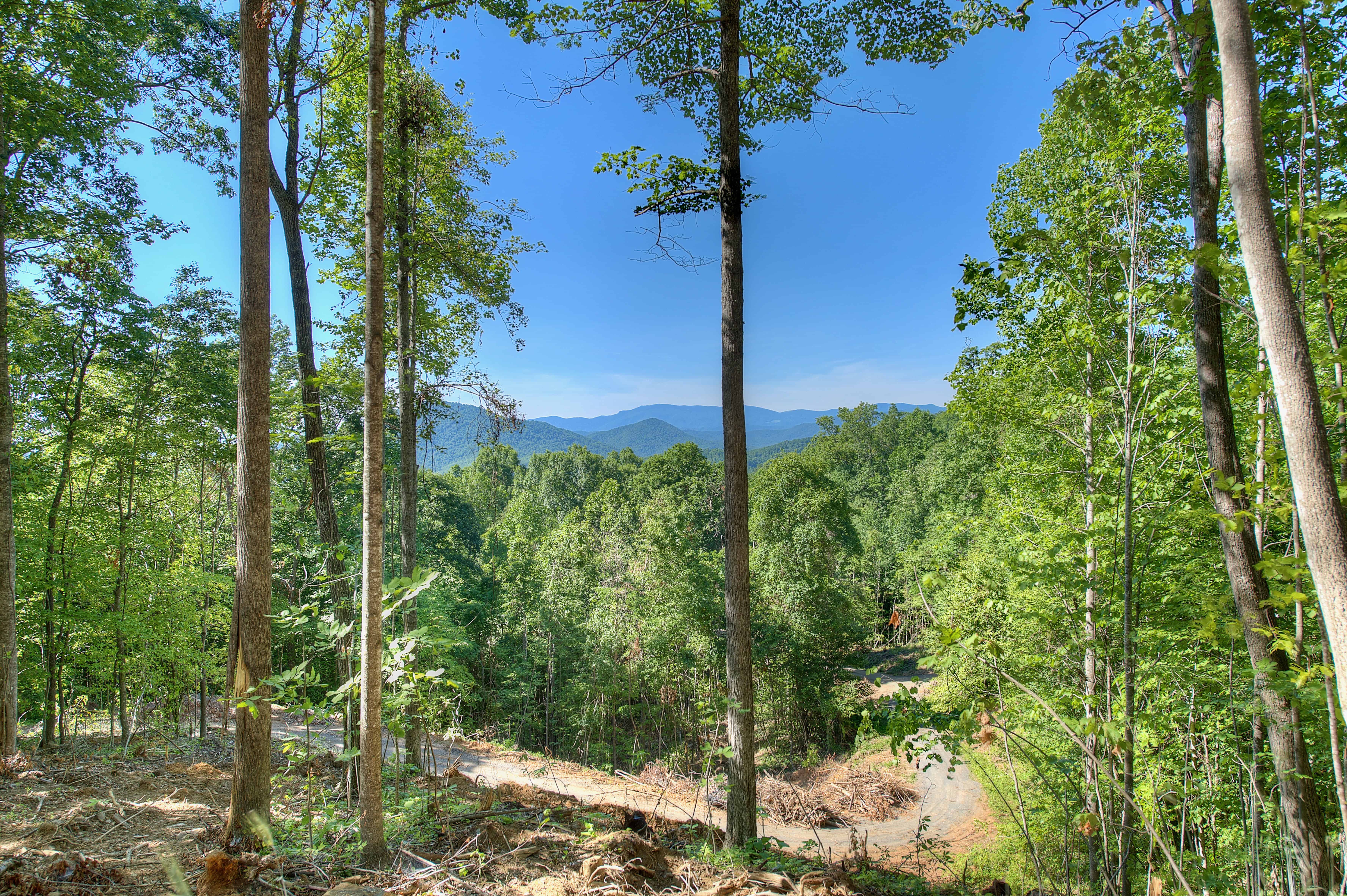 000 Pebble Ridge Road Spruce Pine NC 28777