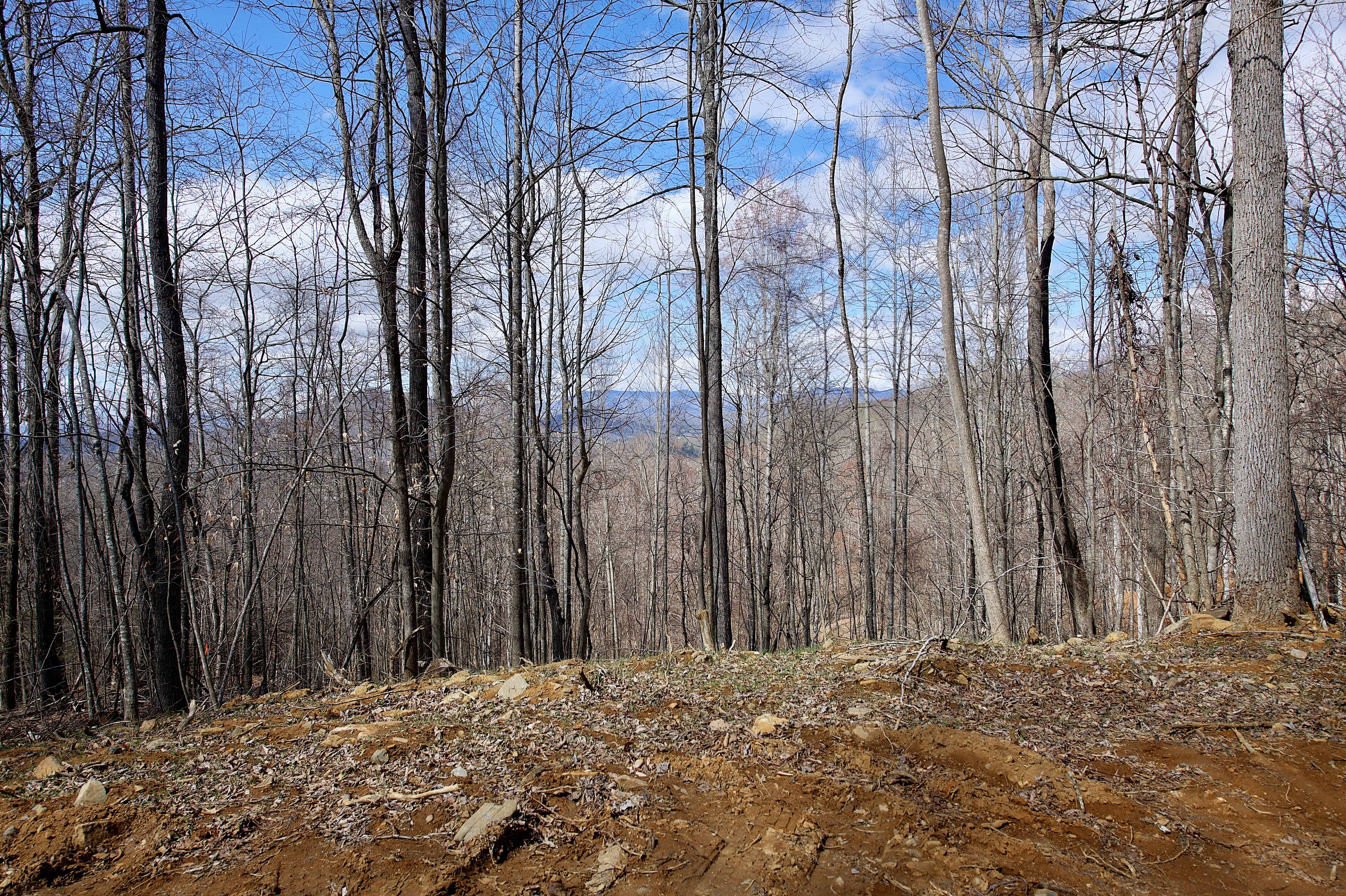 000 Pebble Ridge Road Spruce Pine NC 28777