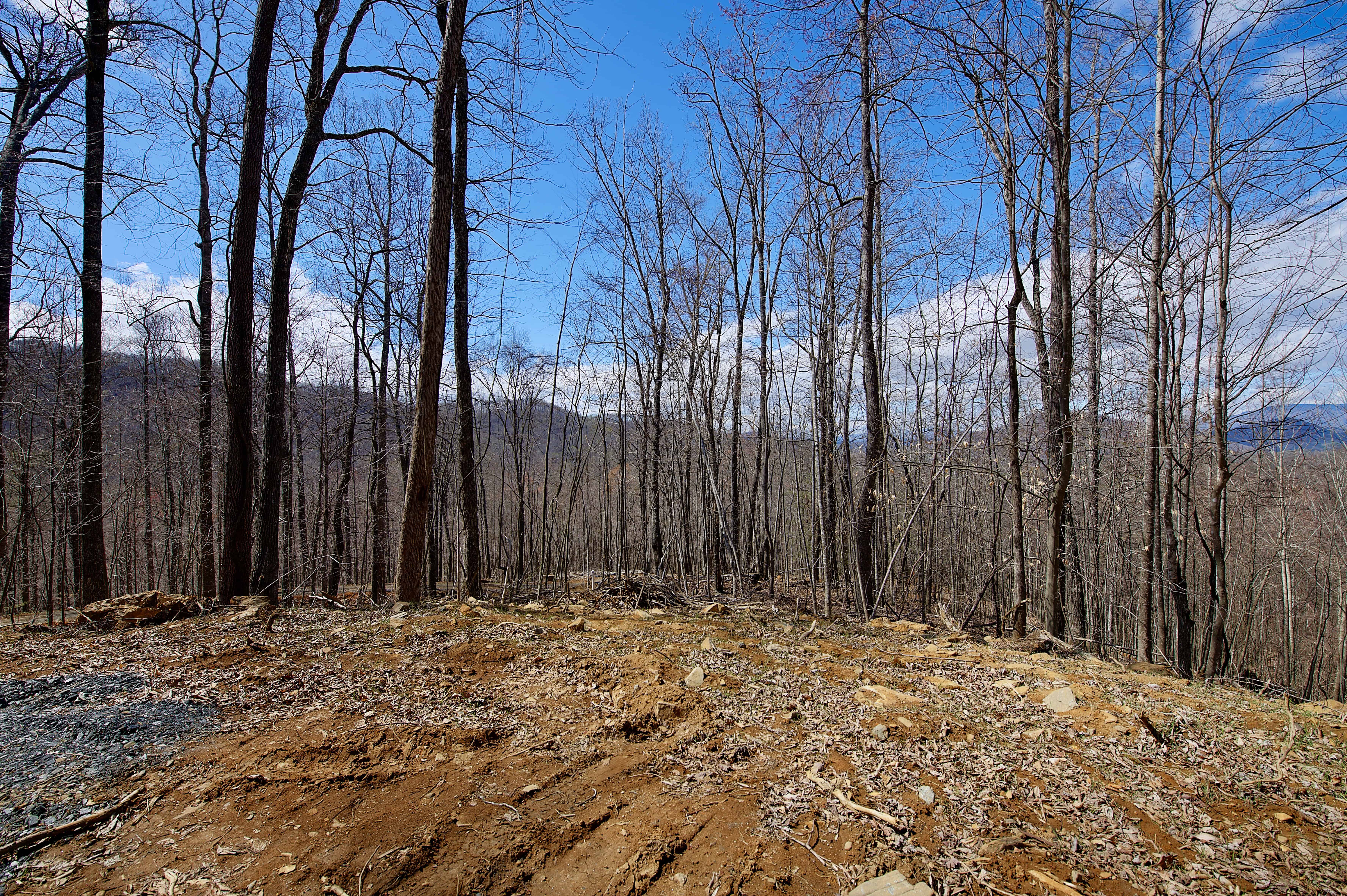 000 Pebble Ridge Road Spruce Pine NC 28777