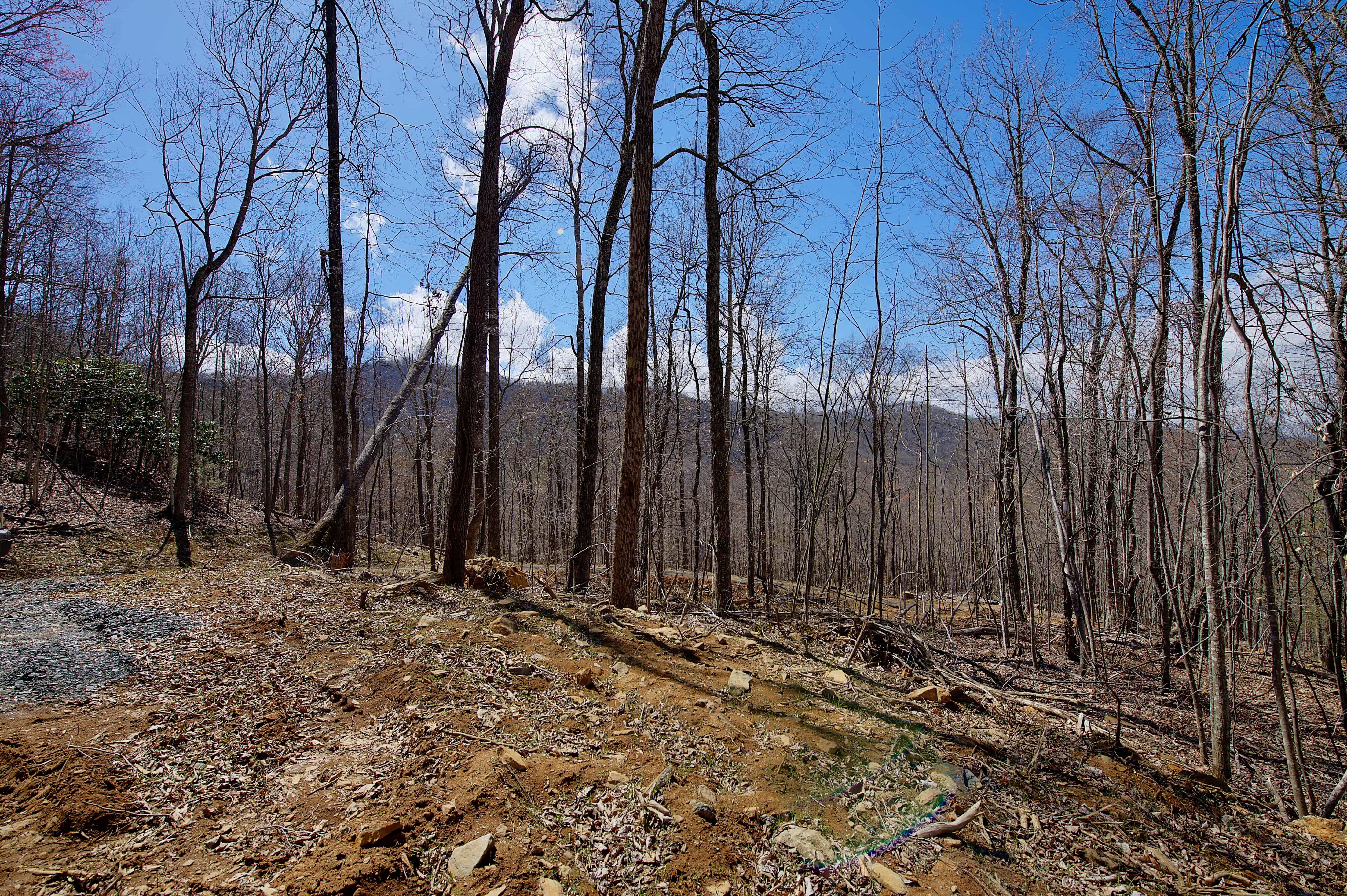 000 Pebble Ridge Road Spruce Pine NC 28777