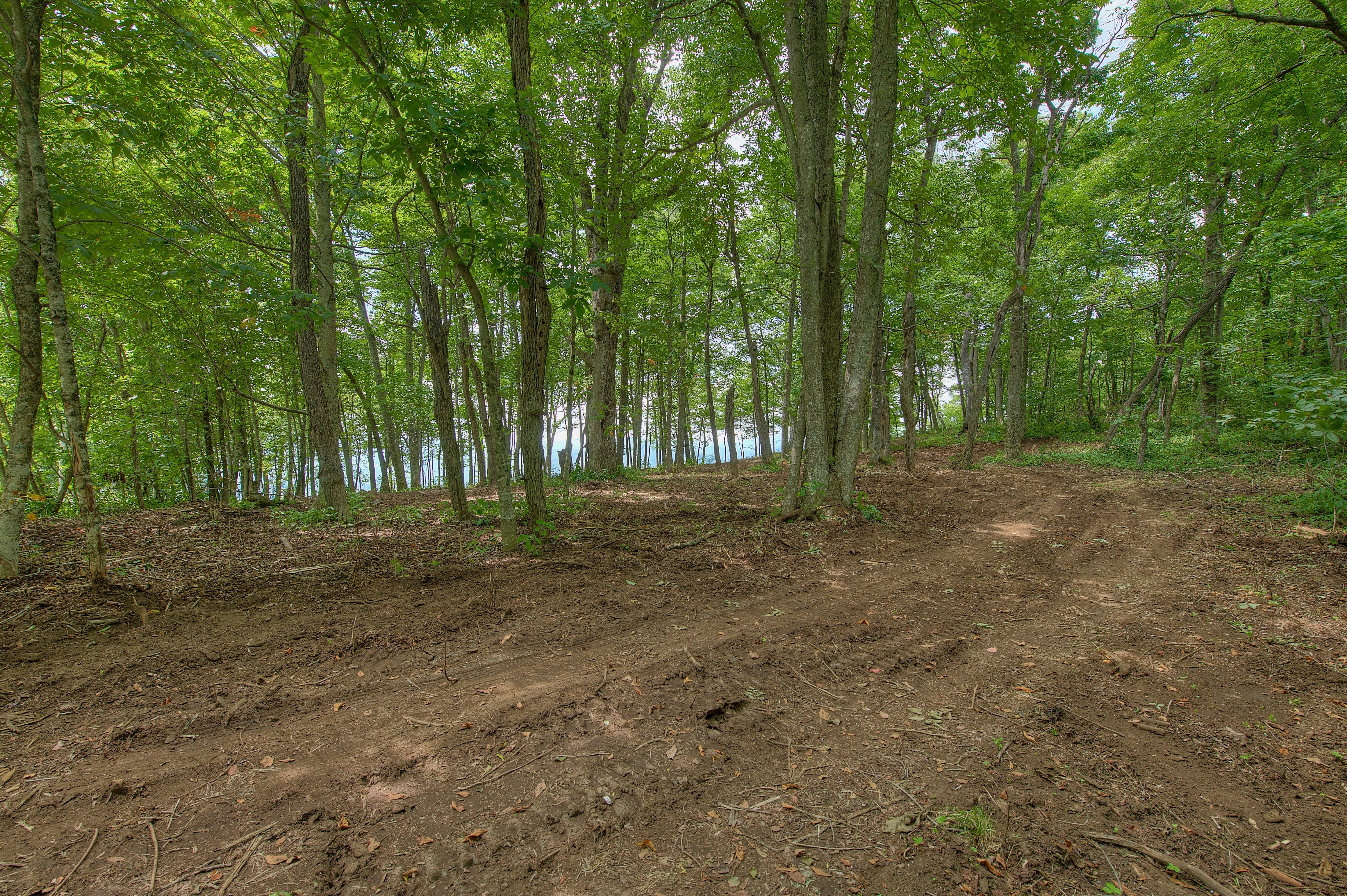 000 Arrowhead Ridge Road Spruce Pine NC 28777