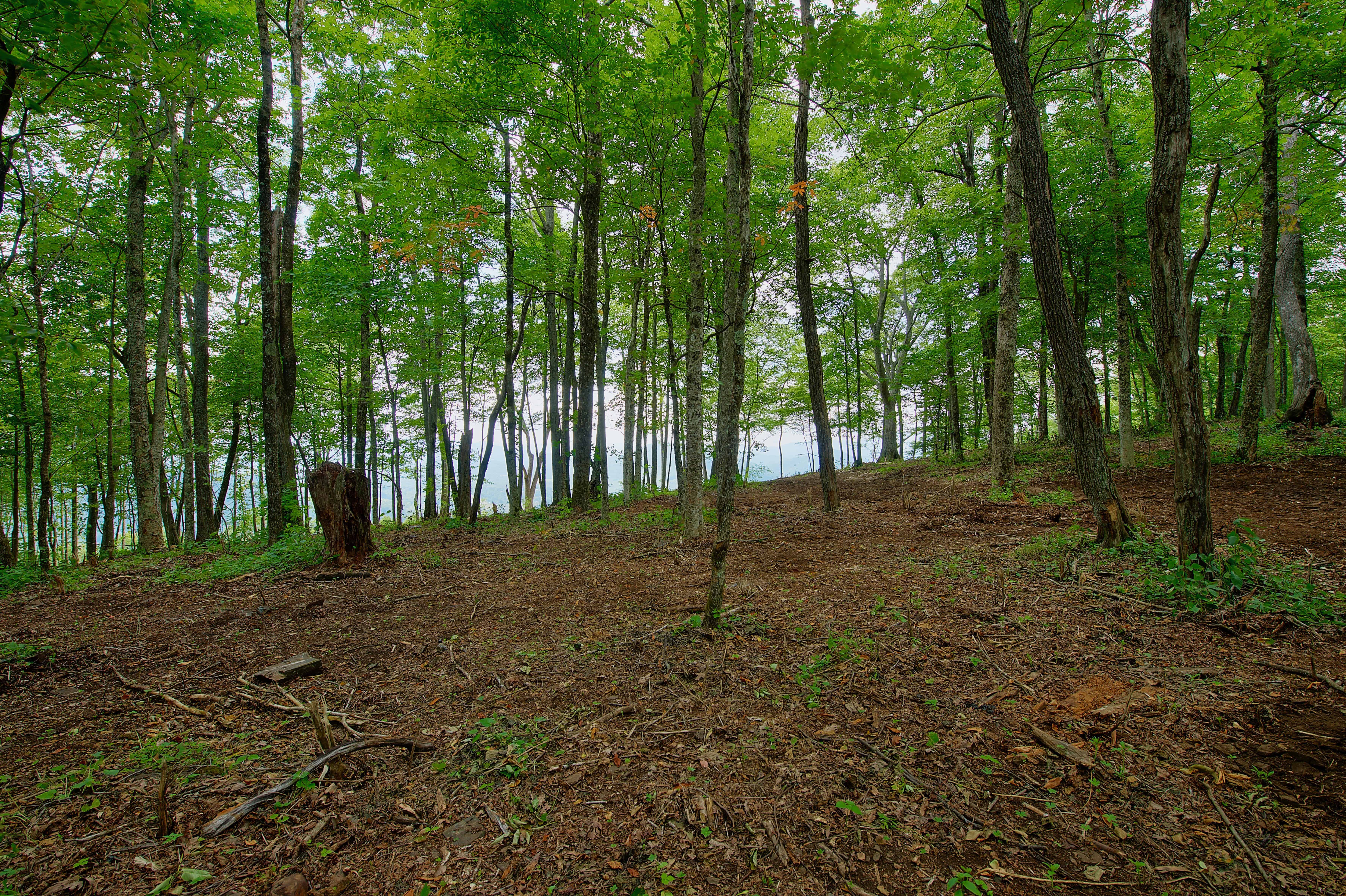 000 Arrowhead Ridge Road Spruce Pine NC 28777