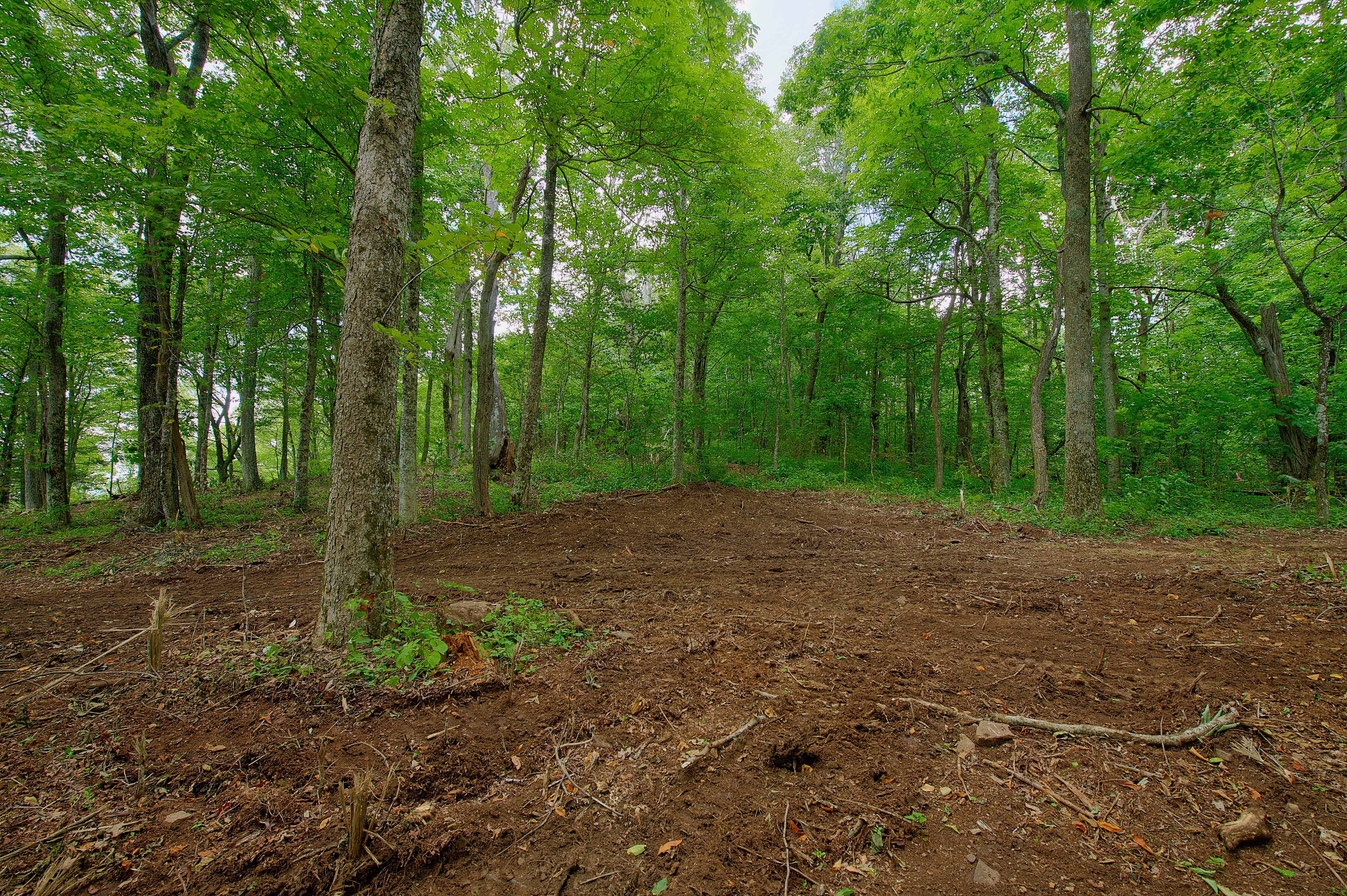 000 Arrowhead Ridge Road Spruce Pine NC 28777