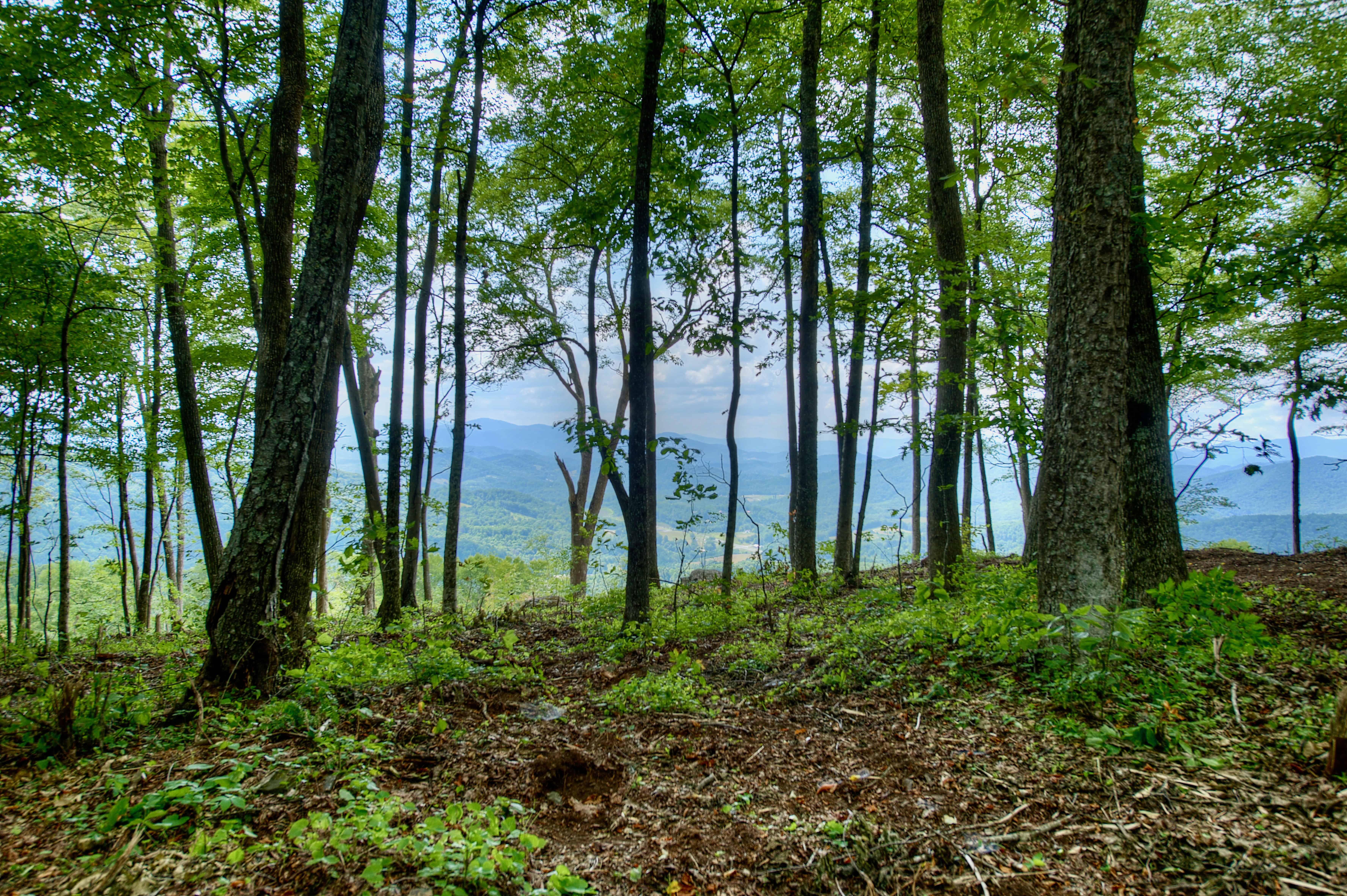 000 Arrowhead Ridge Road Spruce Pine NC 28777