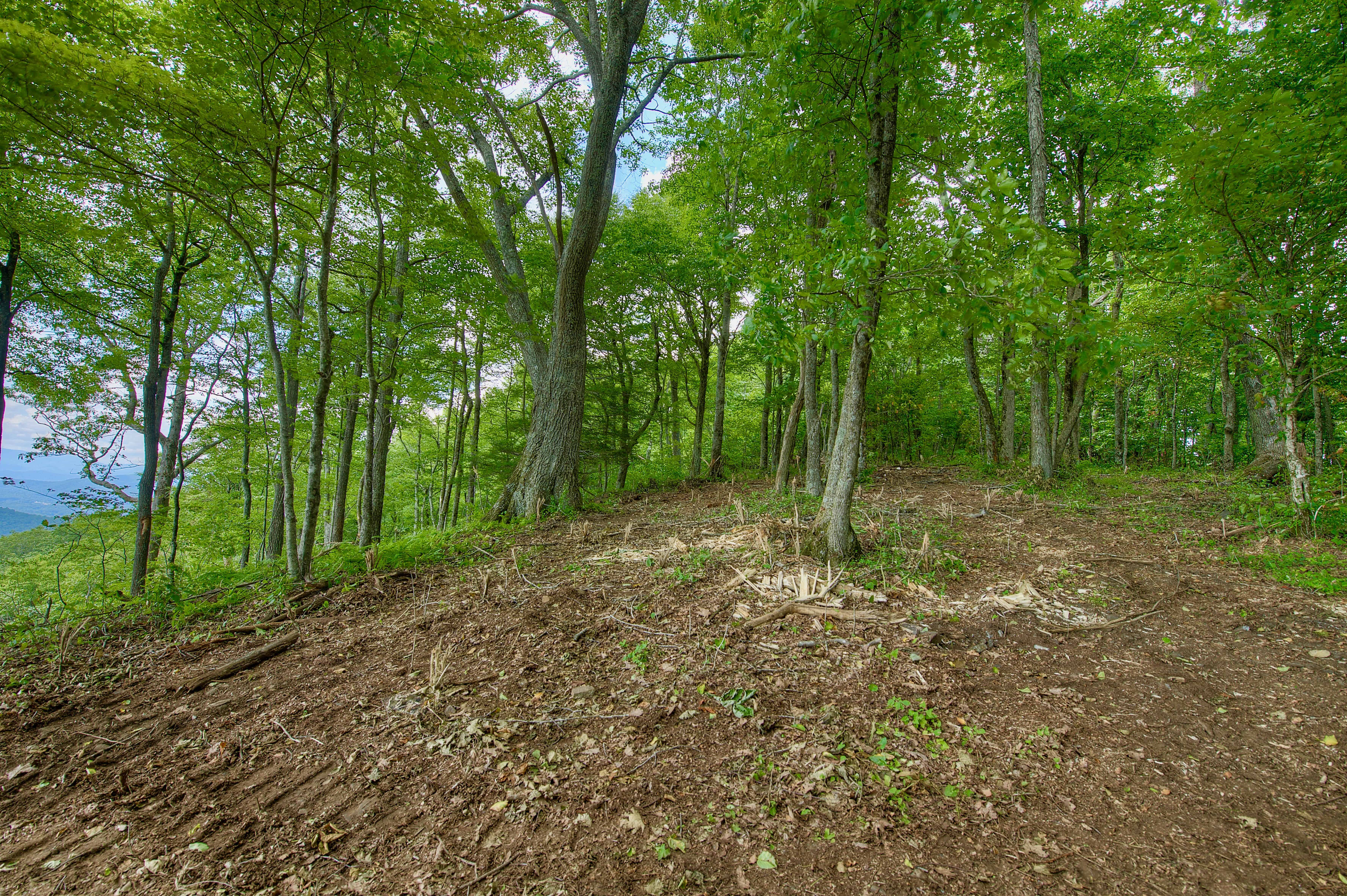 000 Arrowhead Ridge Road Spruce Pine NC 28777