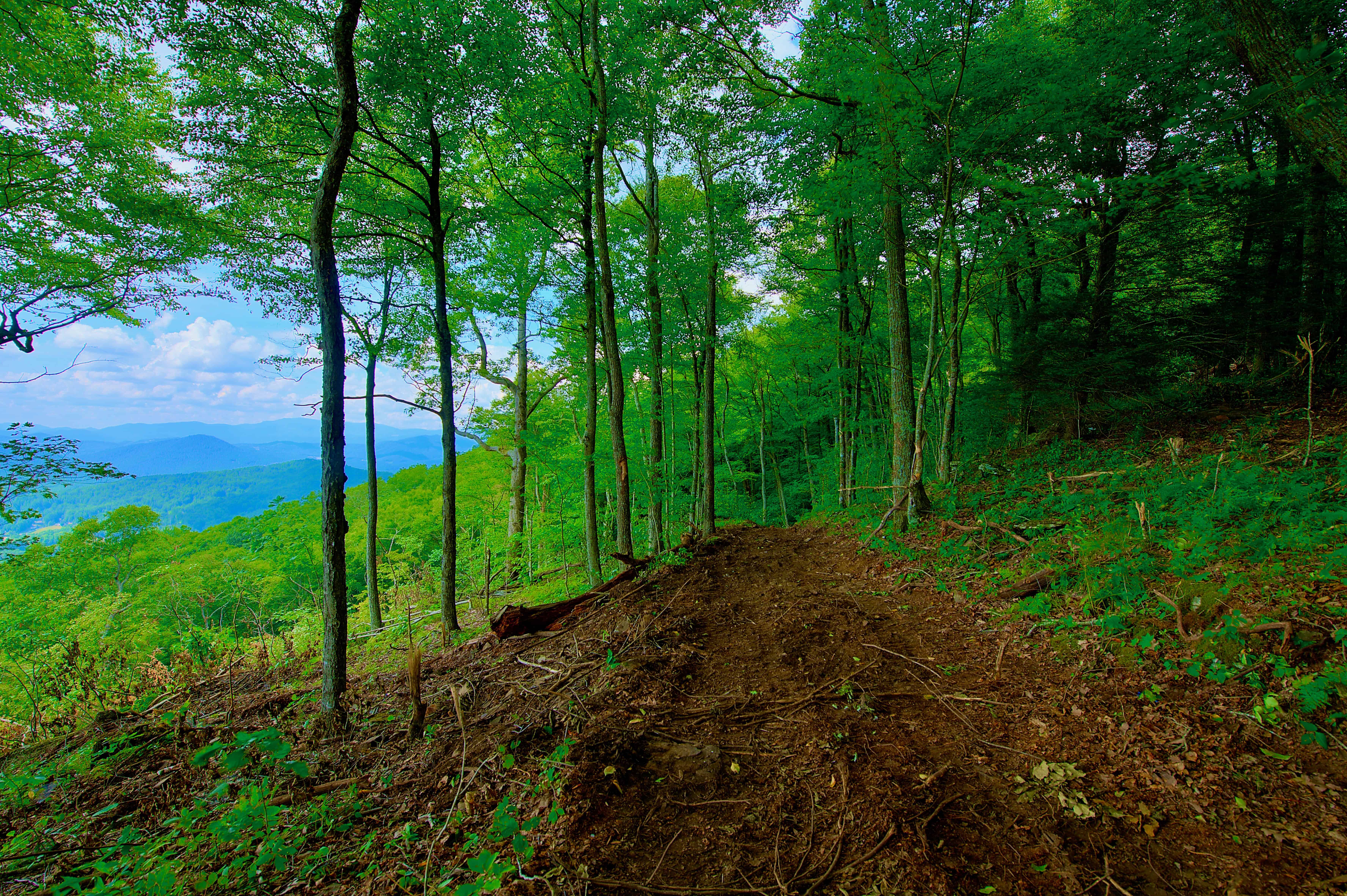 000 Arrowhead Ridge Road Spruce Pine NC 28777