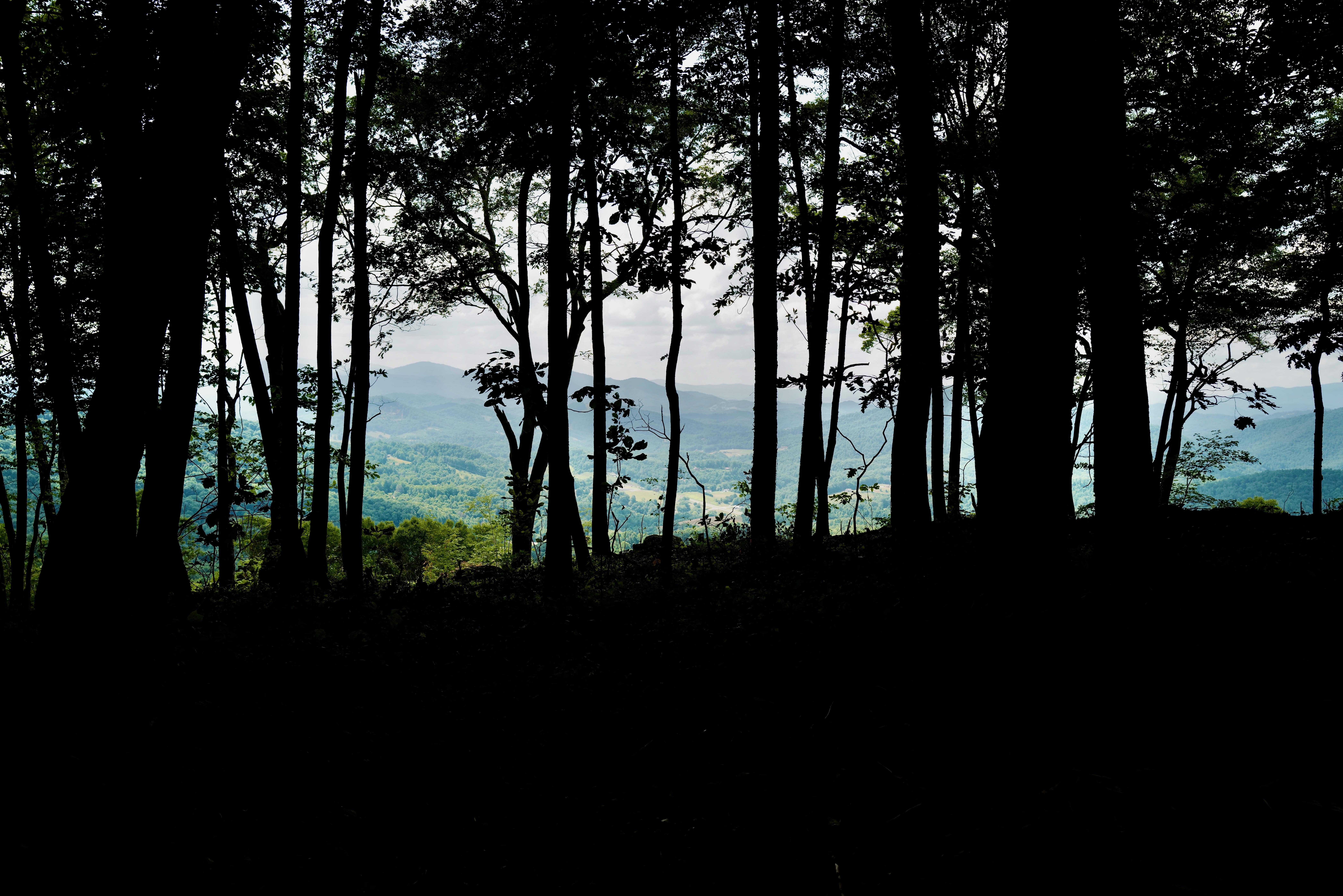 000 Arrowhead Ridge Road Spruce Pine NC 28777