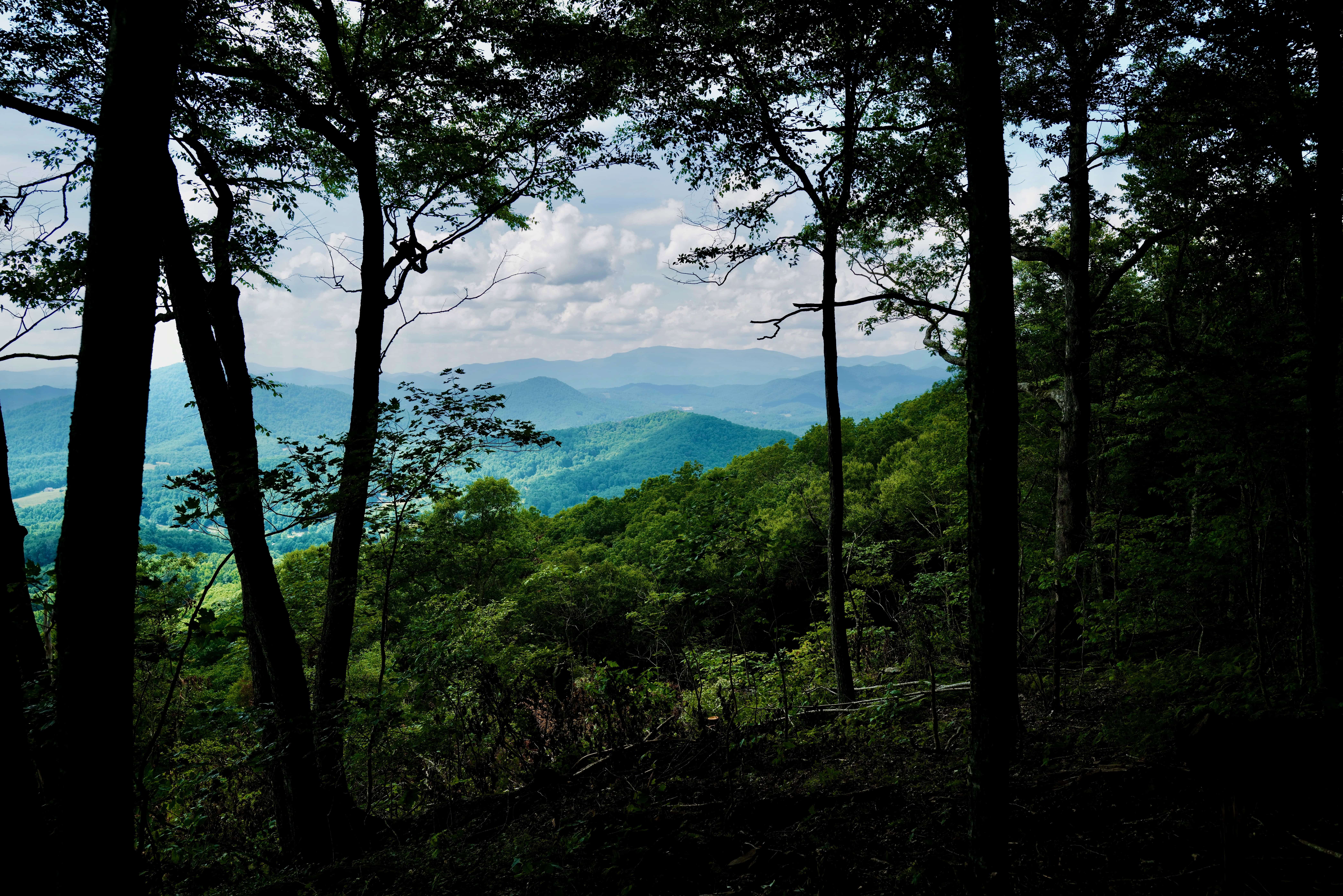 000 Arrowhead Ridge Road Spruce Pine NC 28777