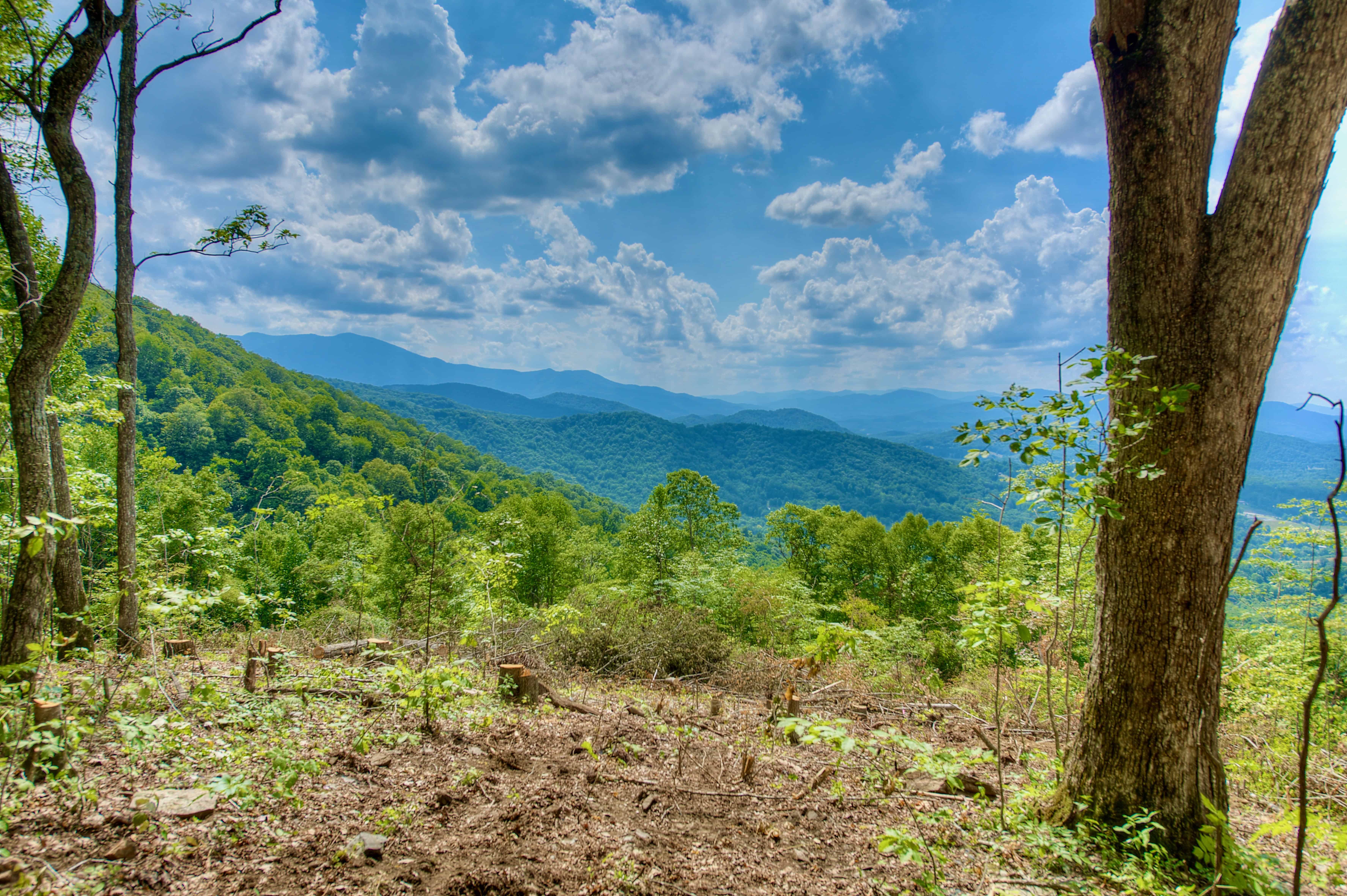 000 Arrowhead Ridge Road Spruce Pine NC 28777