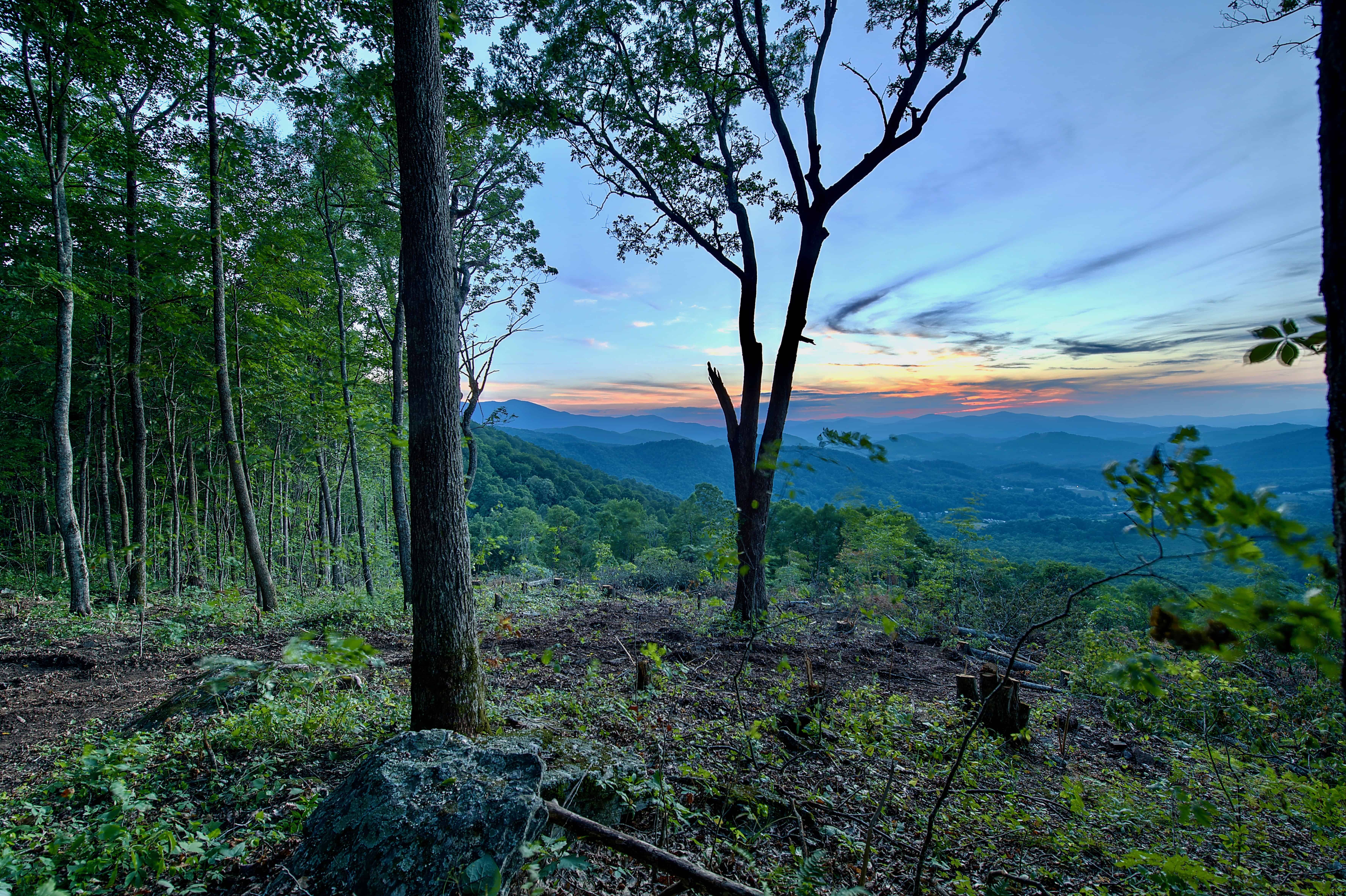 000 Arrowhead Ridge Road Spruce Pine NC 28777