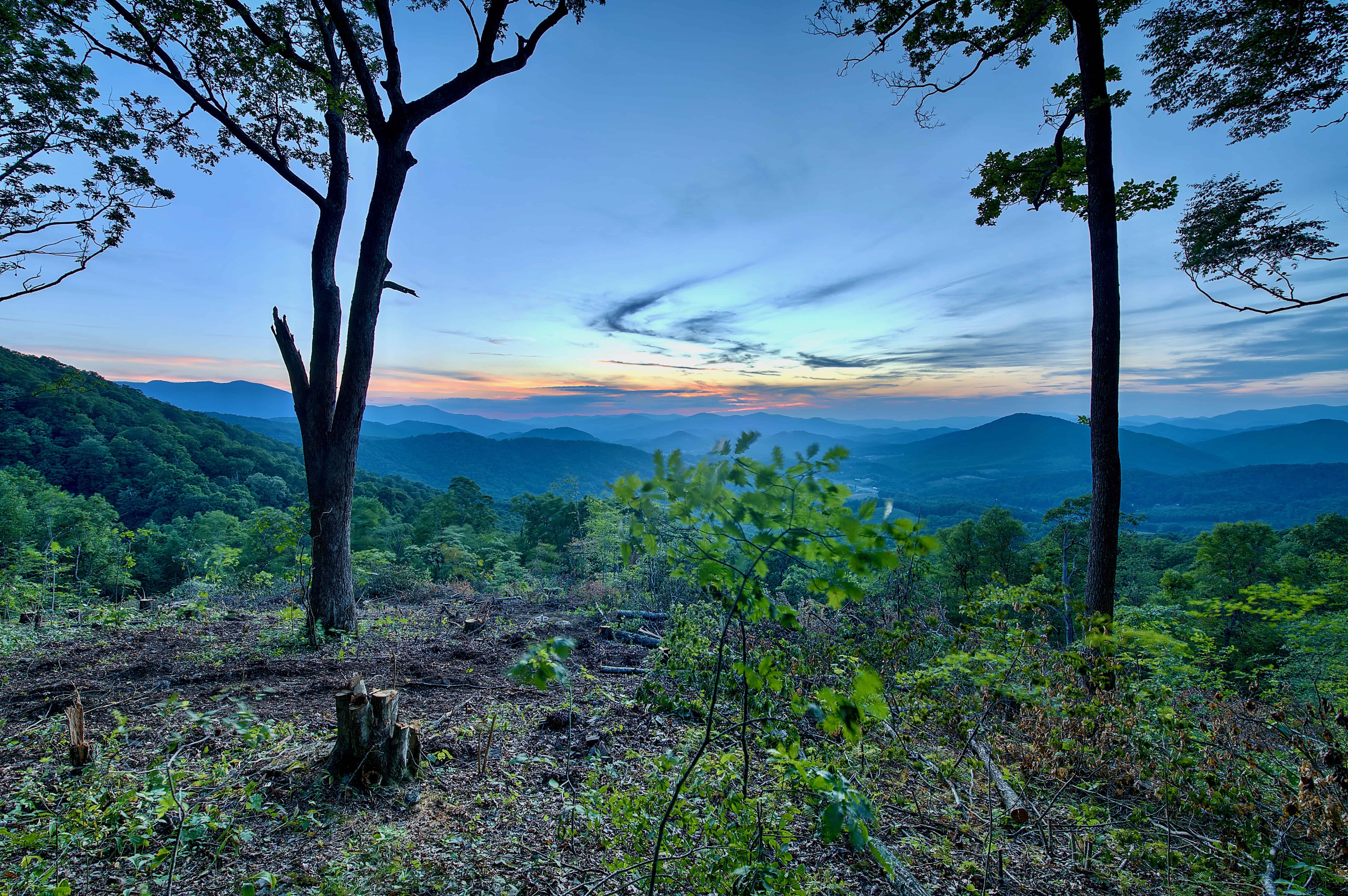 000 Arrowhead Ridge Road Spruce Pine NC 28777