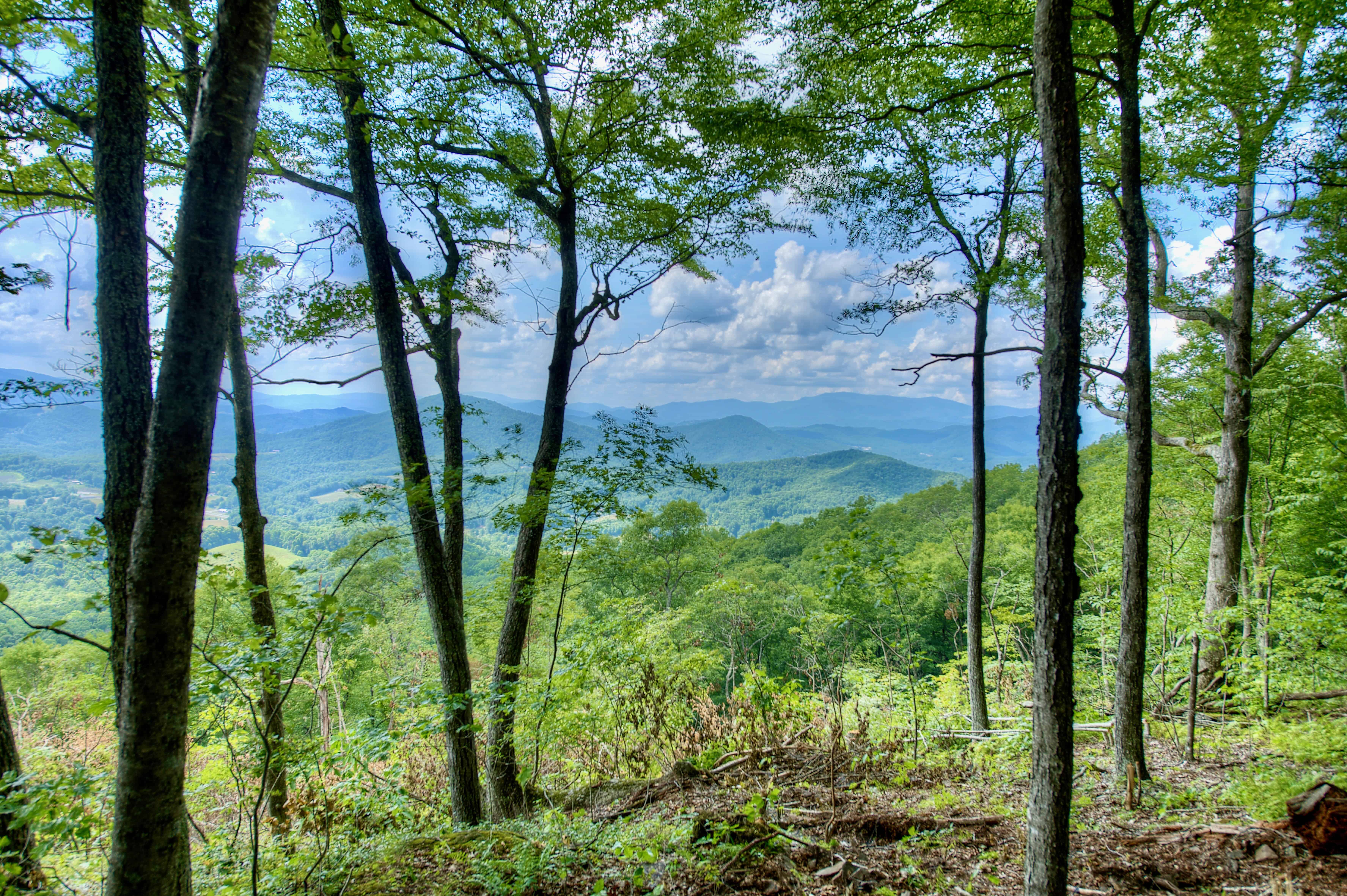 000 Arrowhead Ridge Road Spruce Pine NC 28777