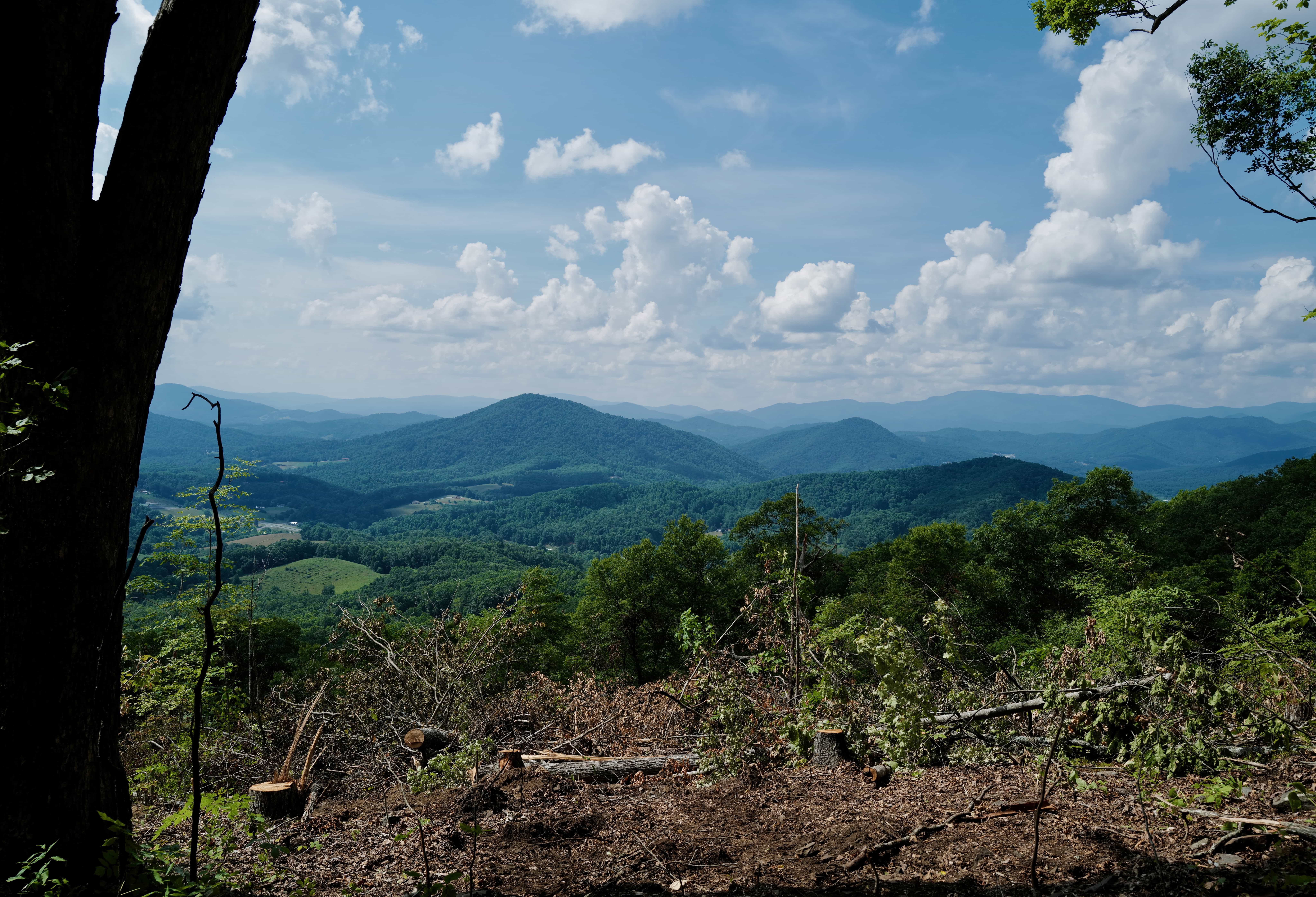 000 Arrowhead Ridge Road Spruce Pine NC 28777