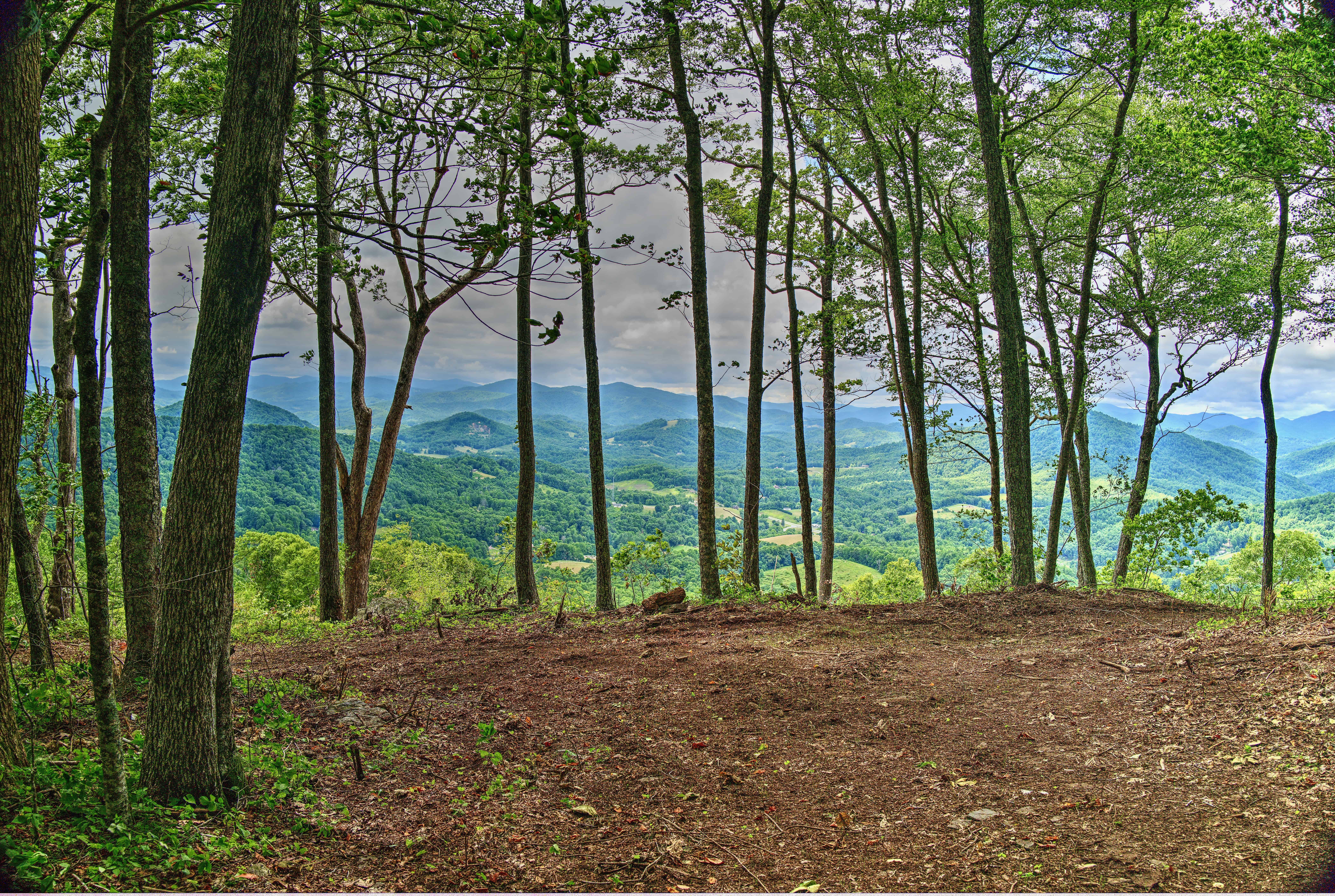 000 Arrowhead Ridge Road Spruce Pine NC 28777