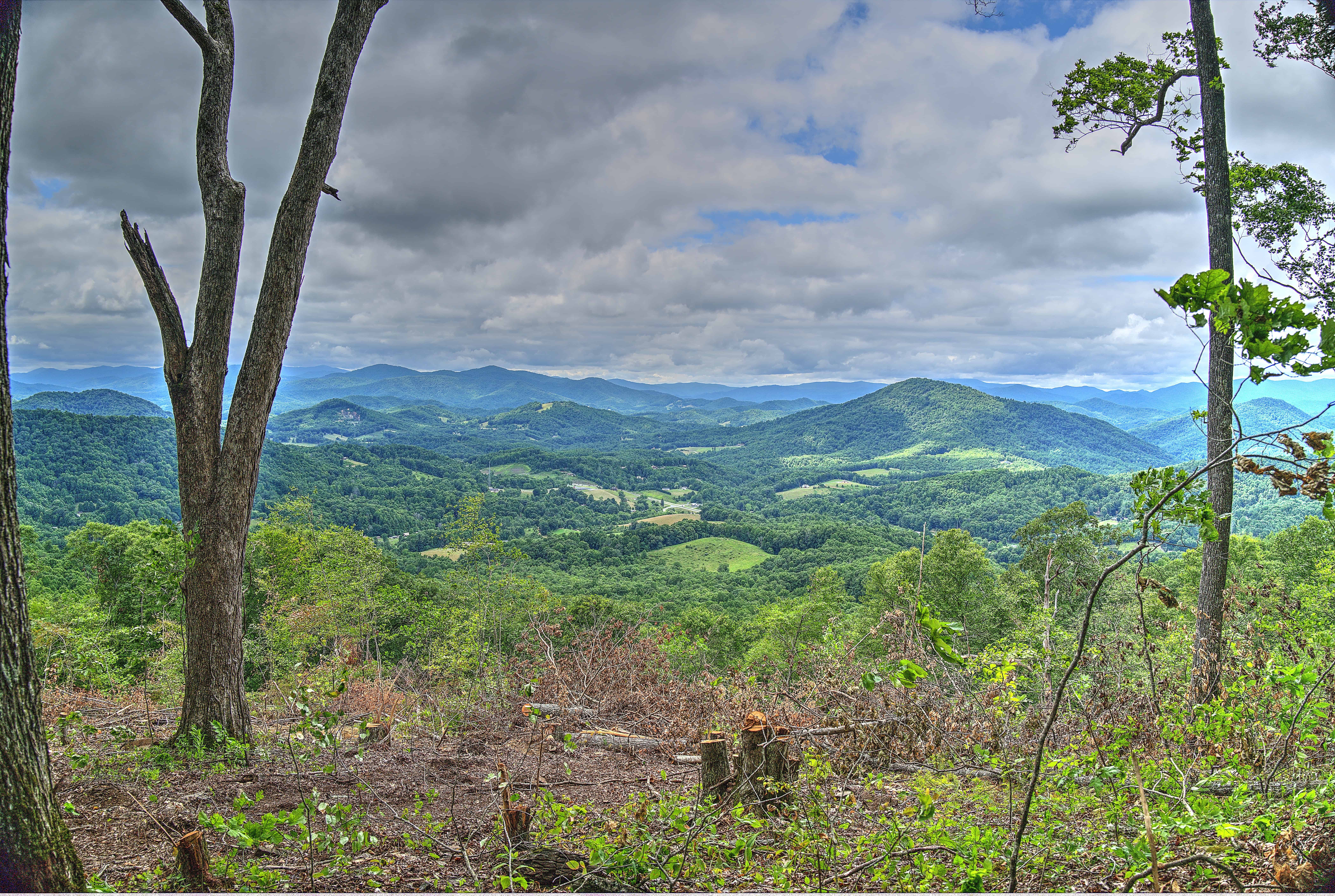 000 Arrowhead Ridge Road Spruce Pine NC 28777