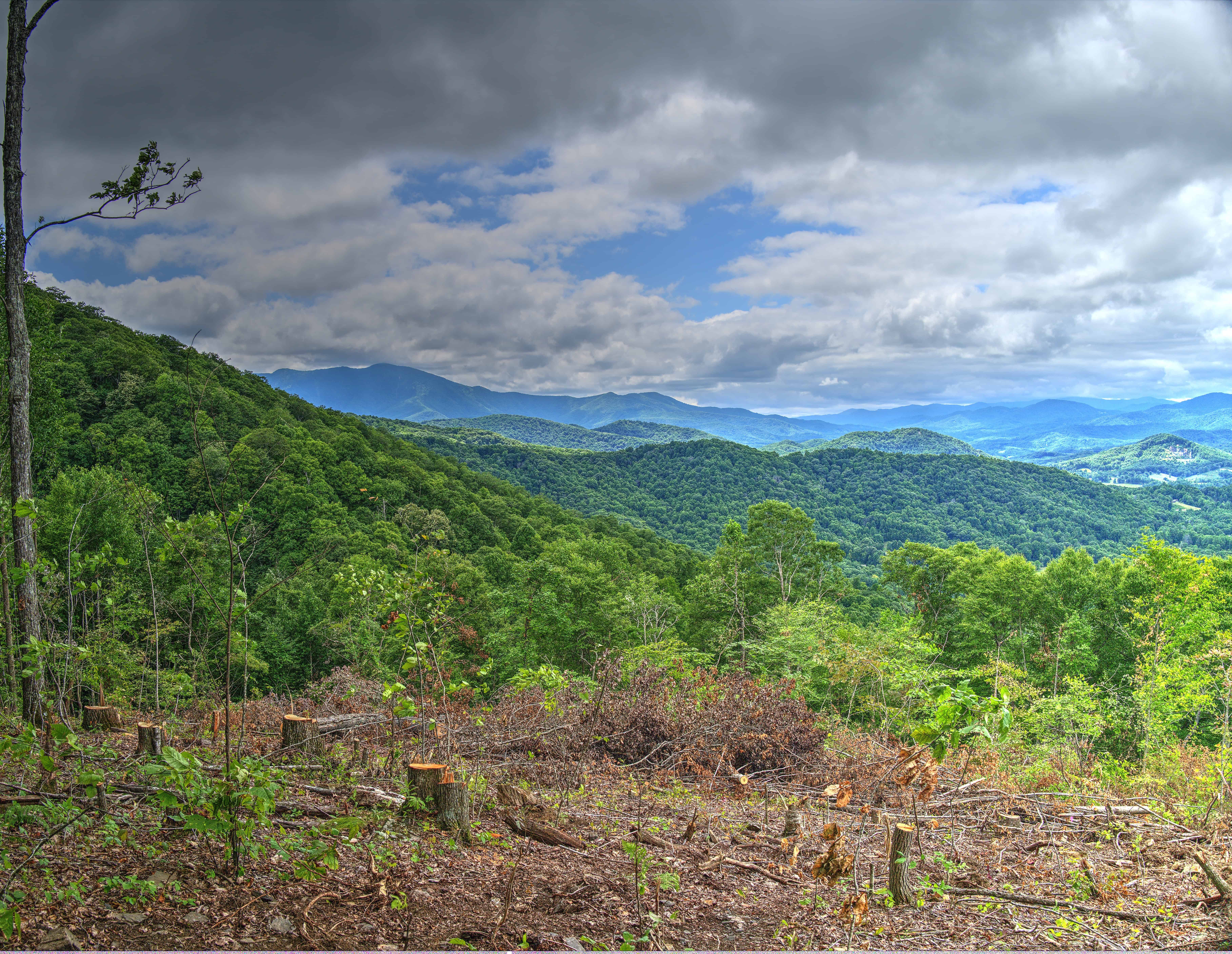 000 Arrowhead Ridge Road Spruce Pine NC 28777