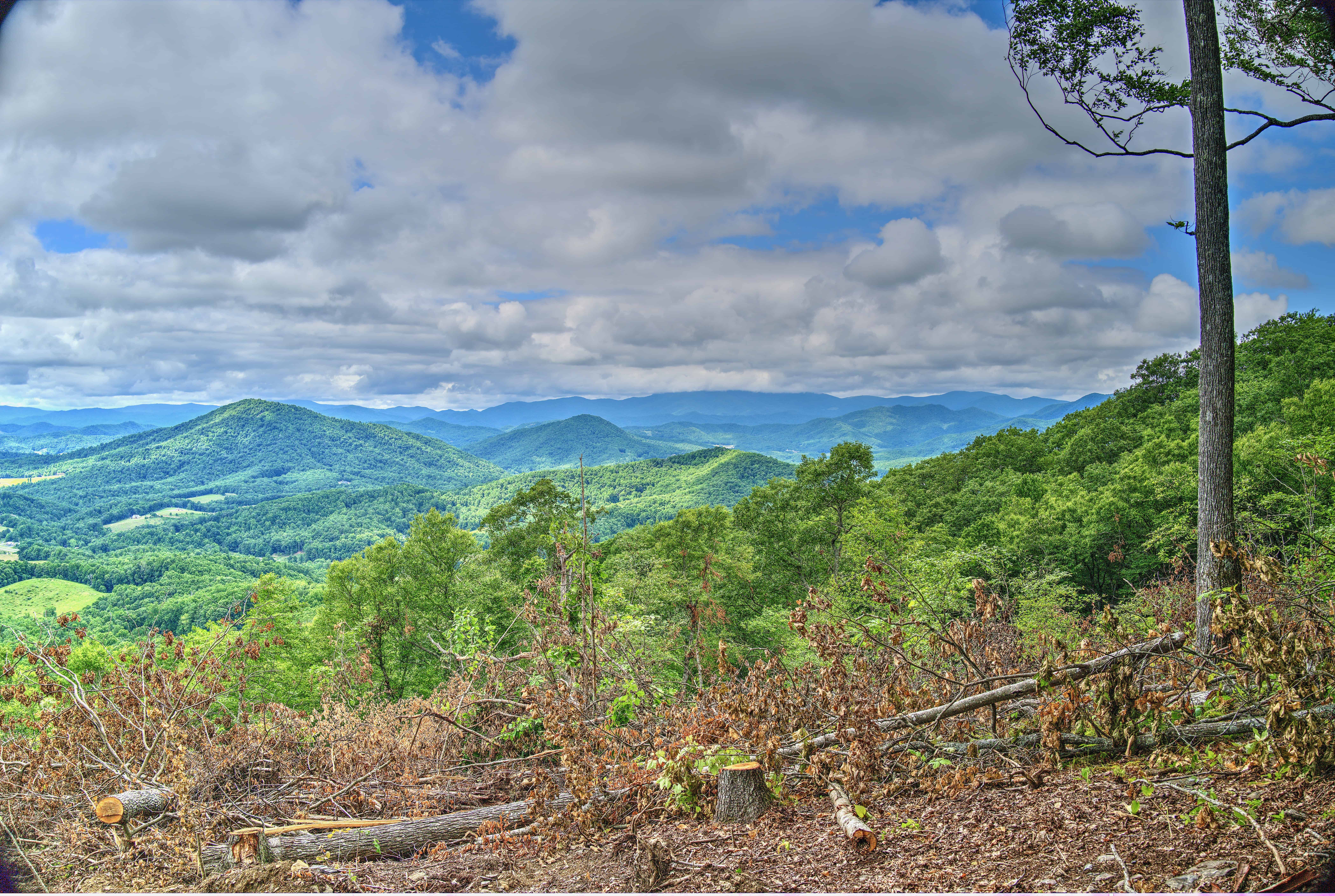 000 Arrowhead Ridge Road Spruce Pine NC 28777