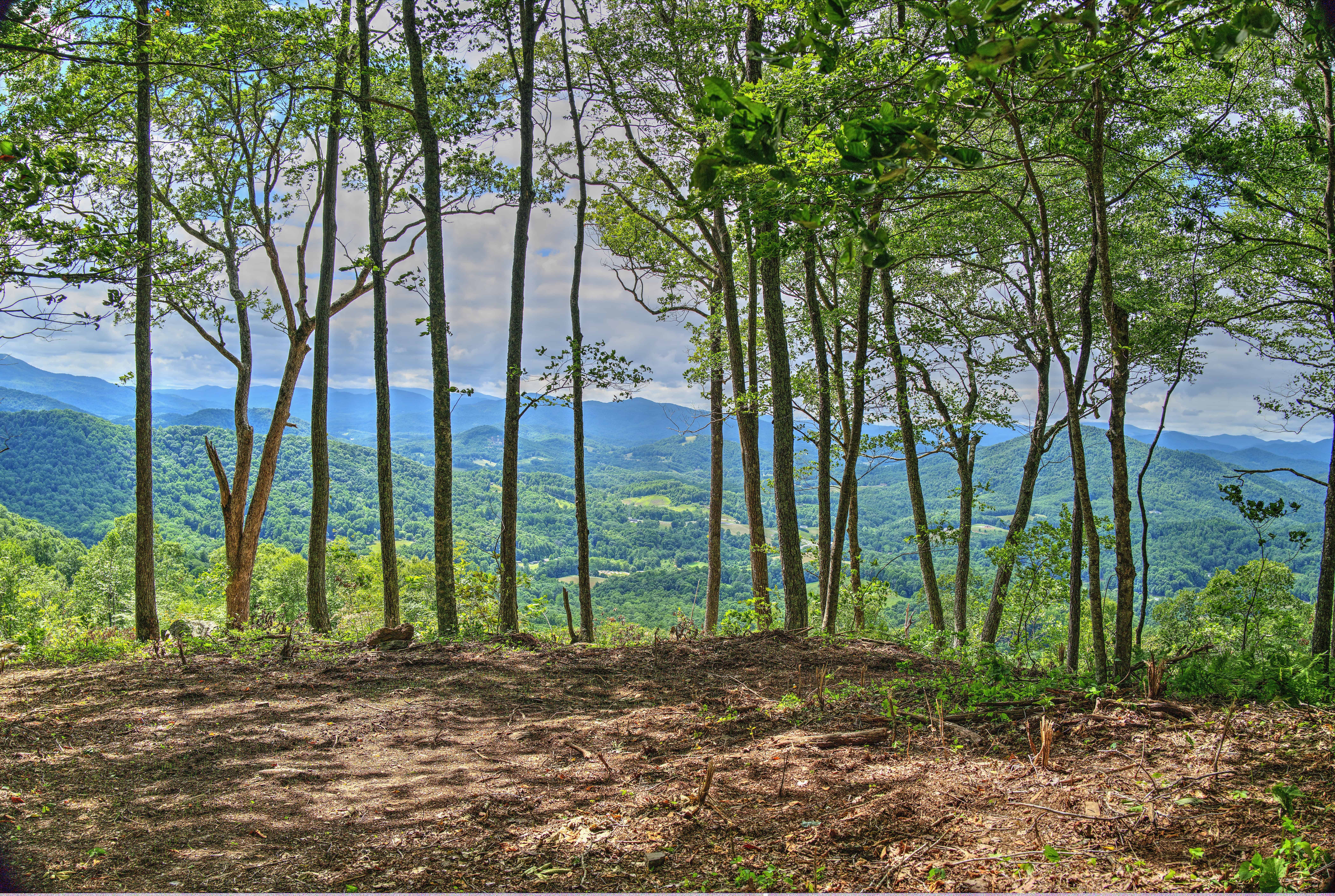 000 Arrowhead Ridge Road Spruce Pine NC 28777