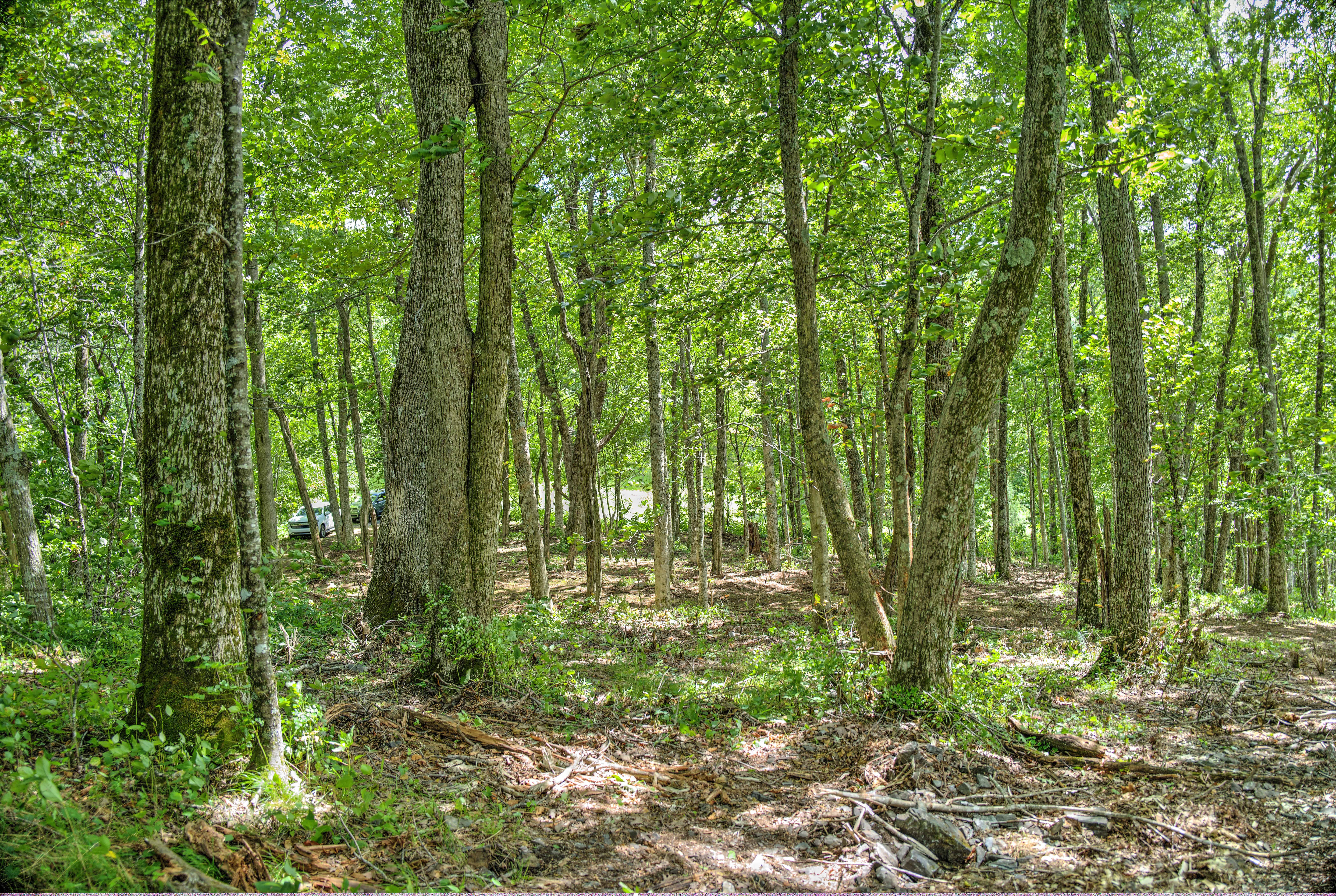 000 Arrowhead Ridge Road Spruce Pine NC 28777