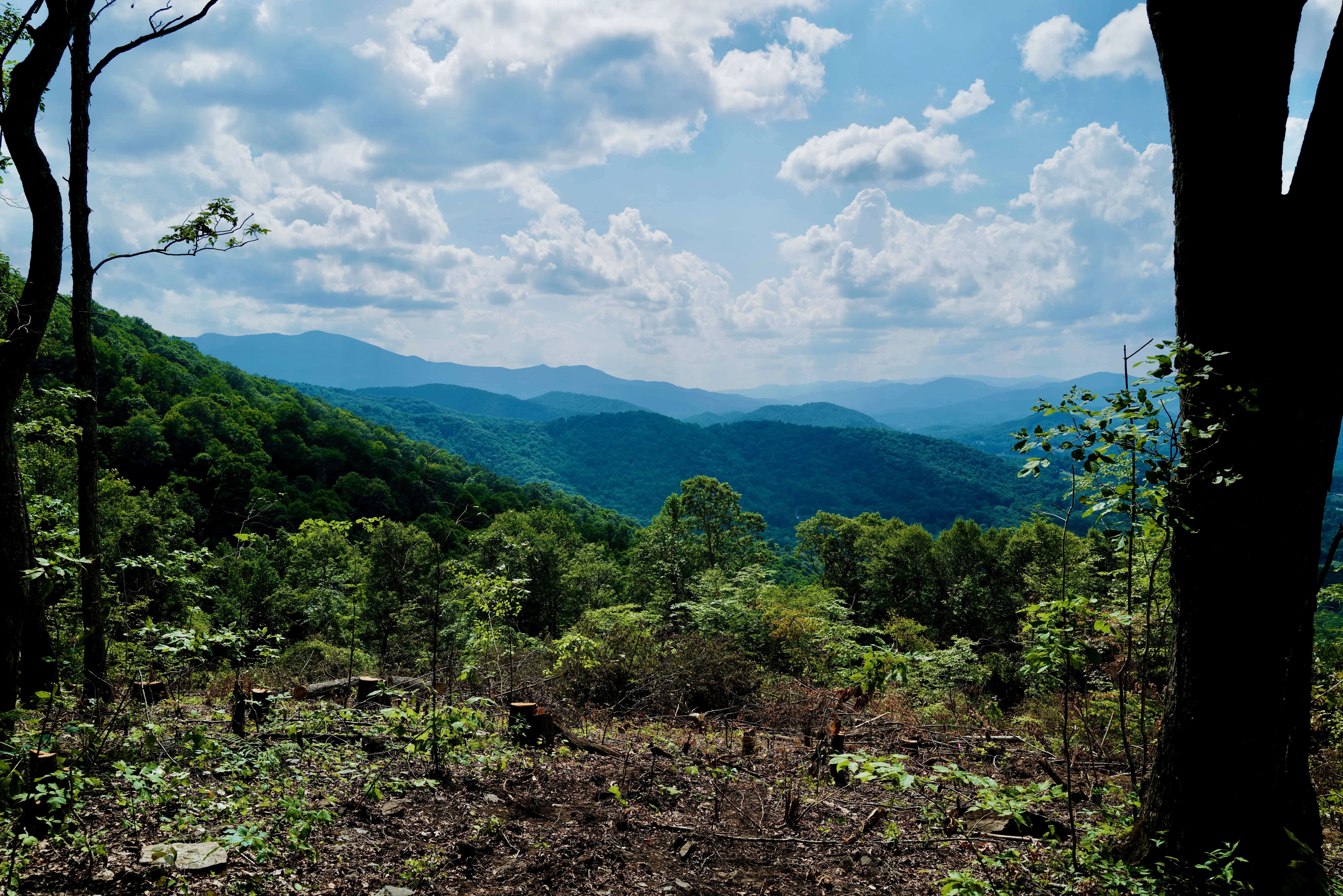 000 Arrowhead Ridge Road Spruce Pine NC 28777