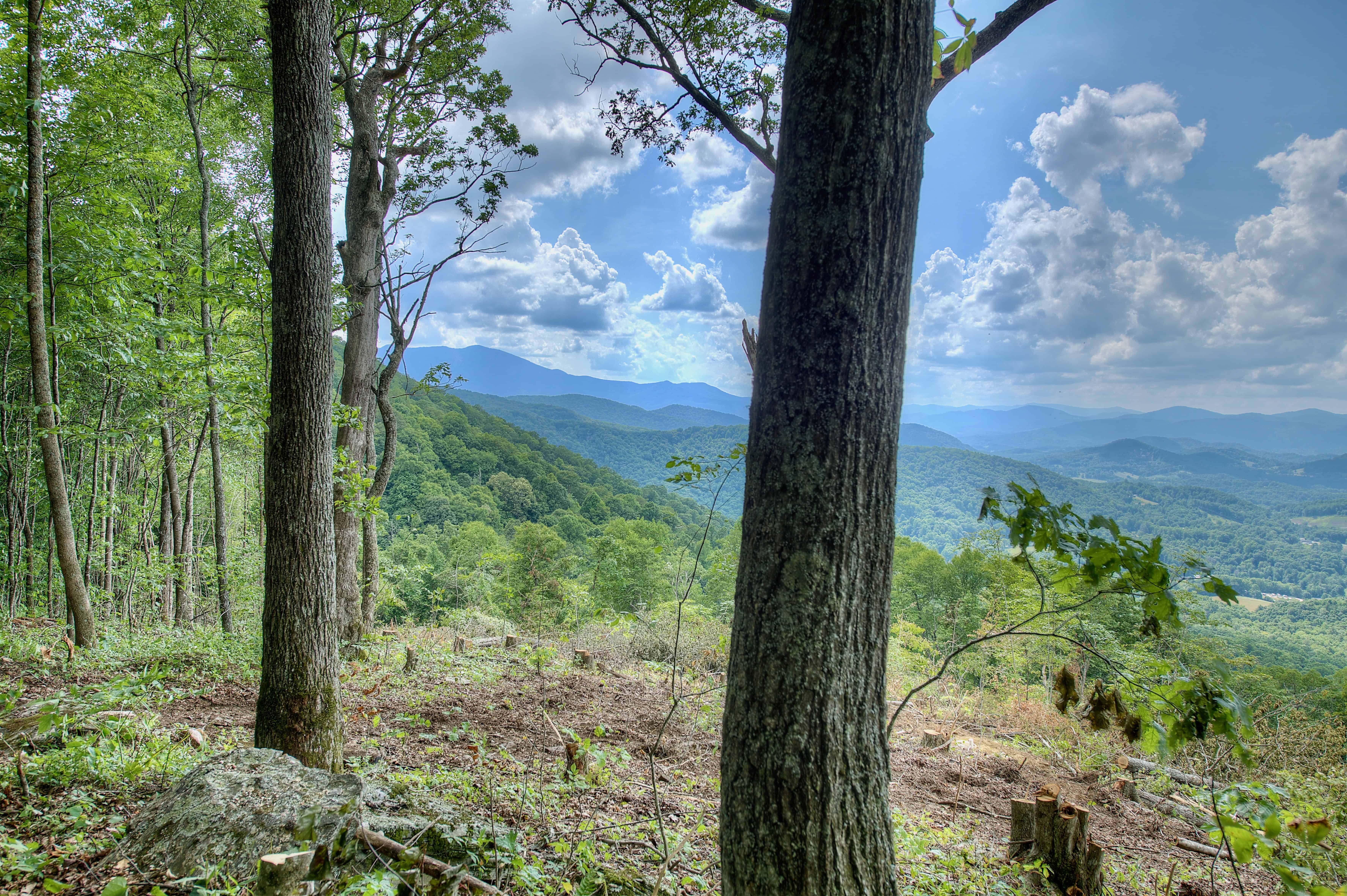 000 Arrowhead Ridge Road Spruce Pine NC 28777