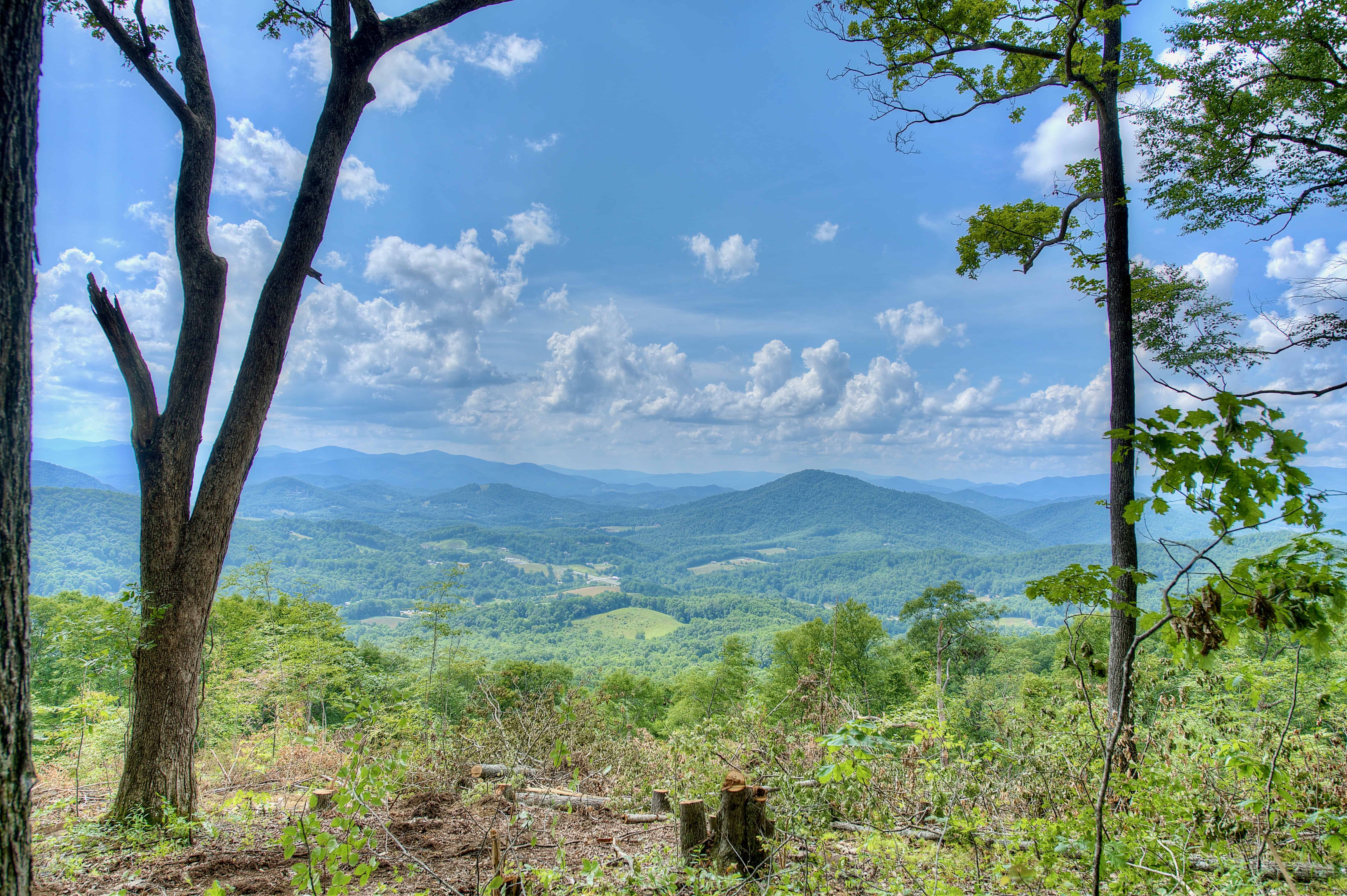 000 Arrowhead Ridge Road Spruce Pine NC 28777