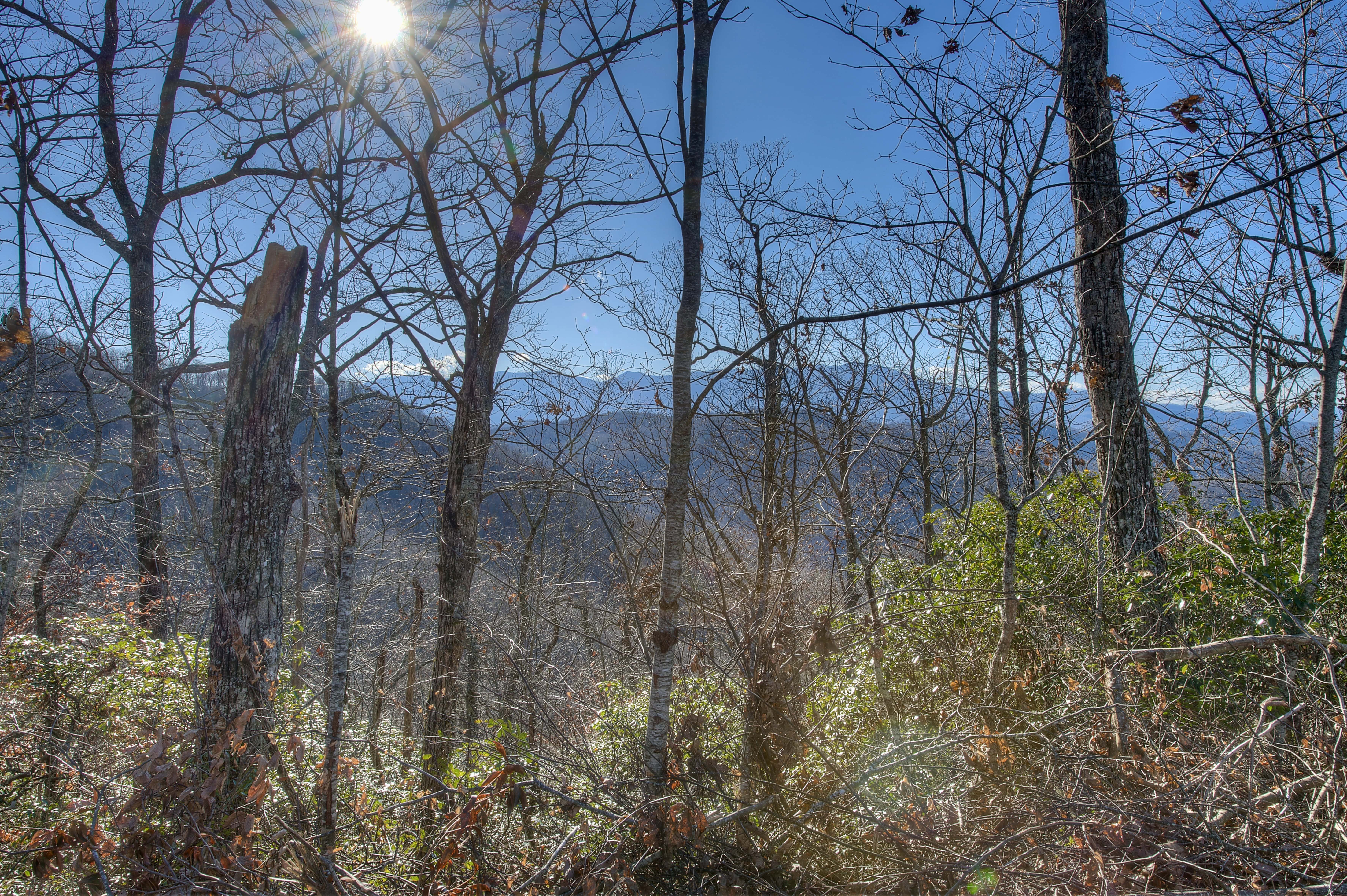 0 Arrowhead Ridge Road Spruce Pine NC 28777