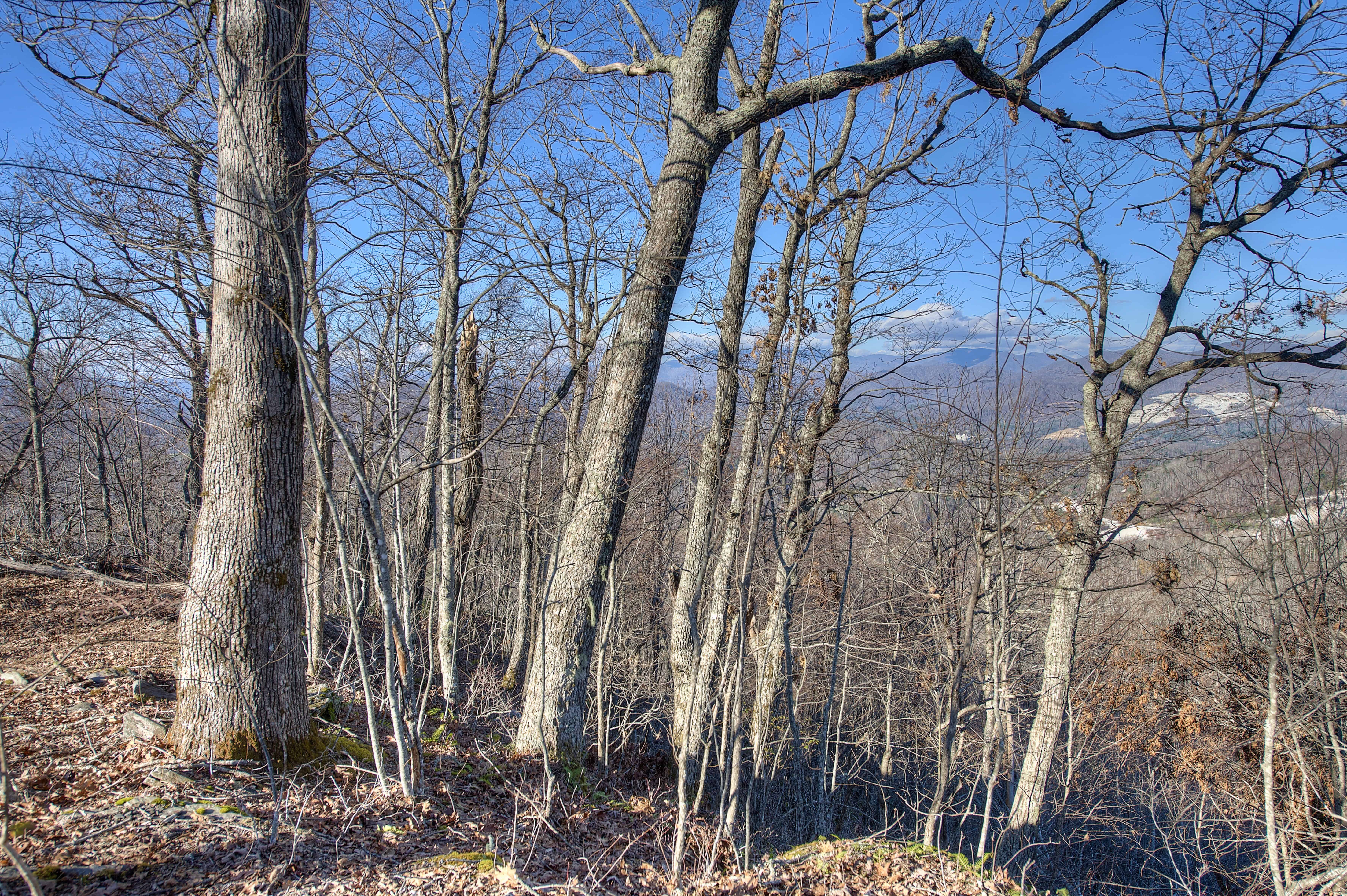 0 Arrowhead Ridge Road Spruce Pine NC 28777