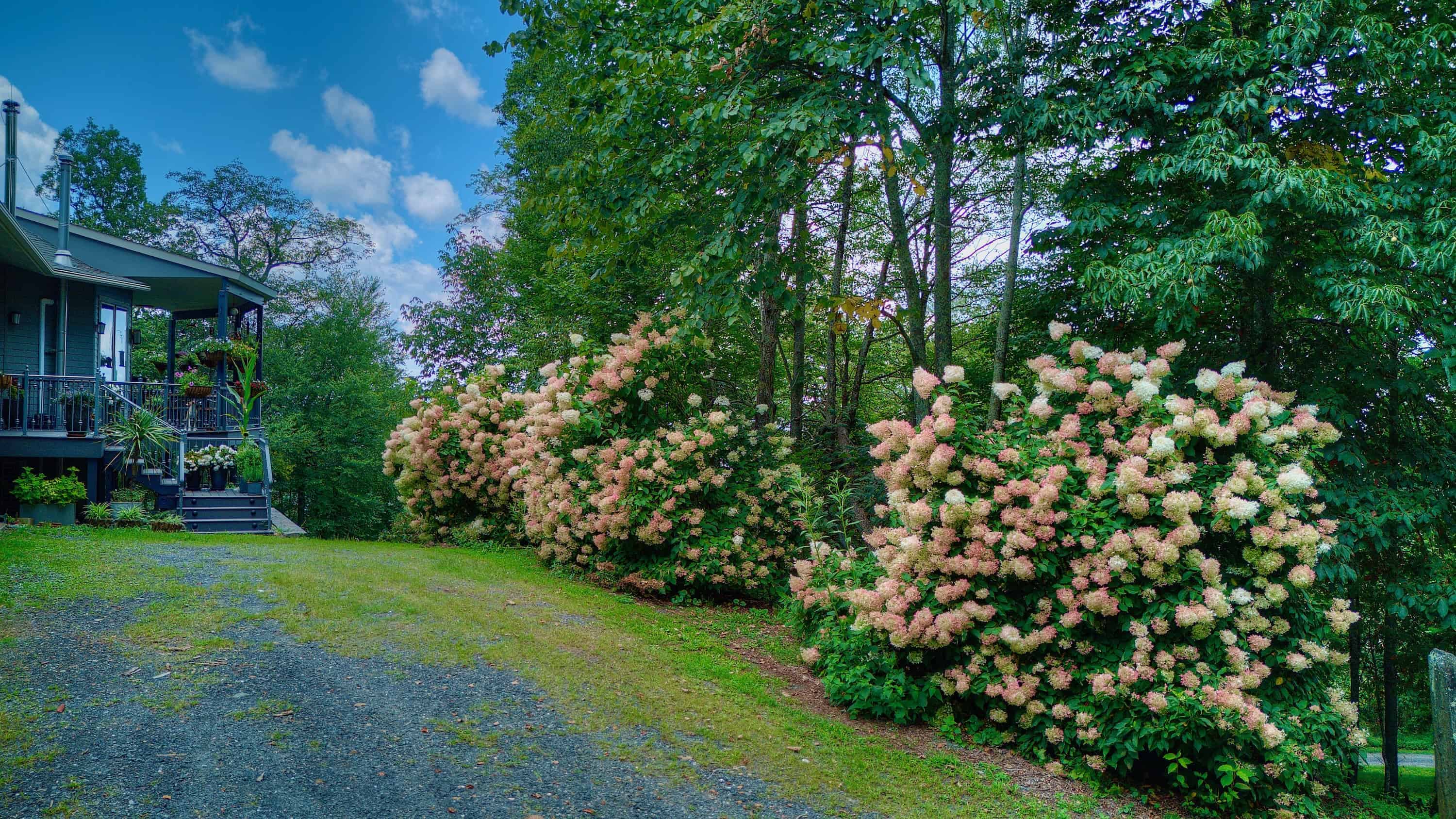 1024 Arrowhead Ridge Road Spruce Pine NC 28777