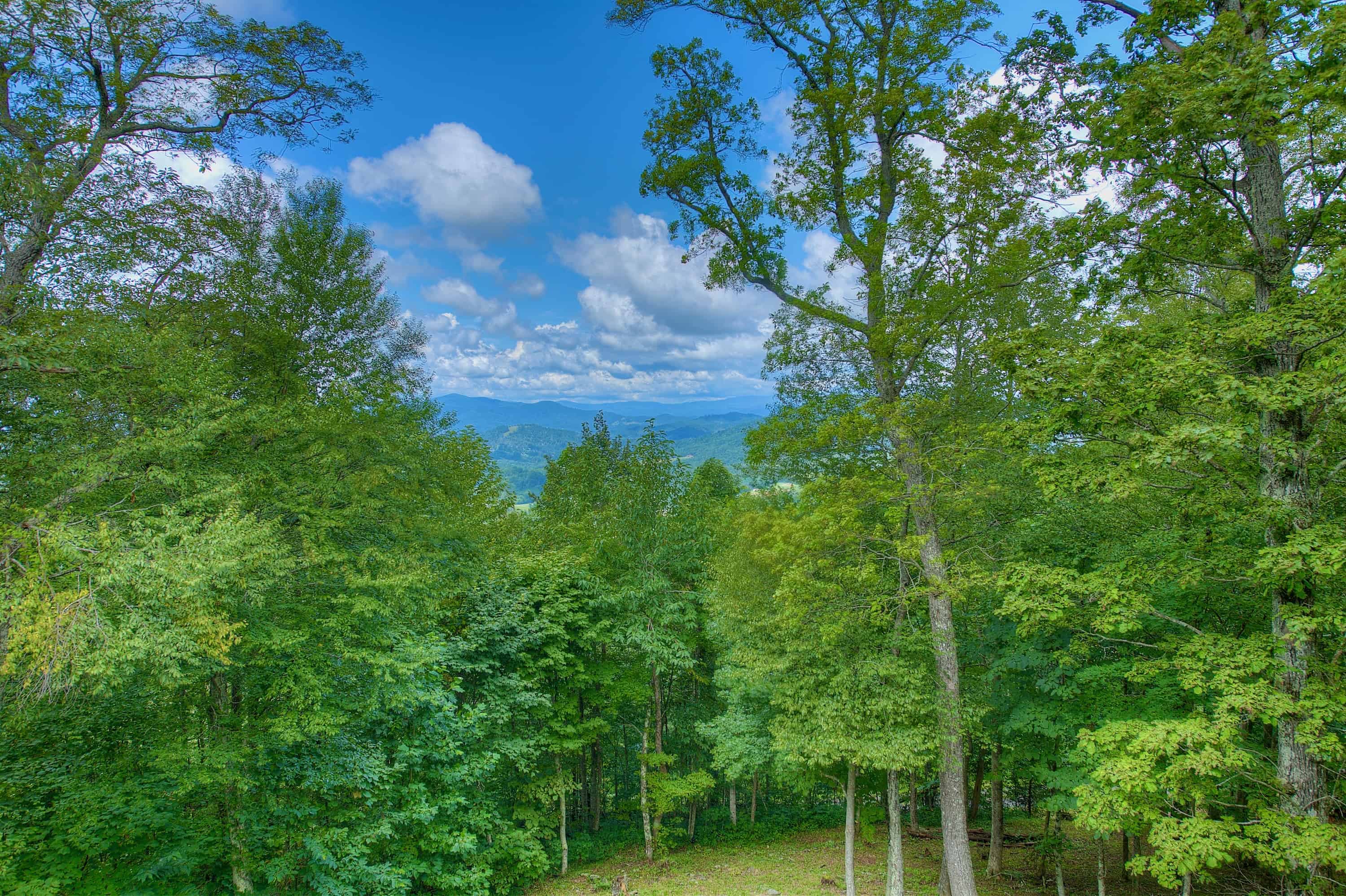 1024 Arrowhead Ridge Road Spruce Pine NC 28777