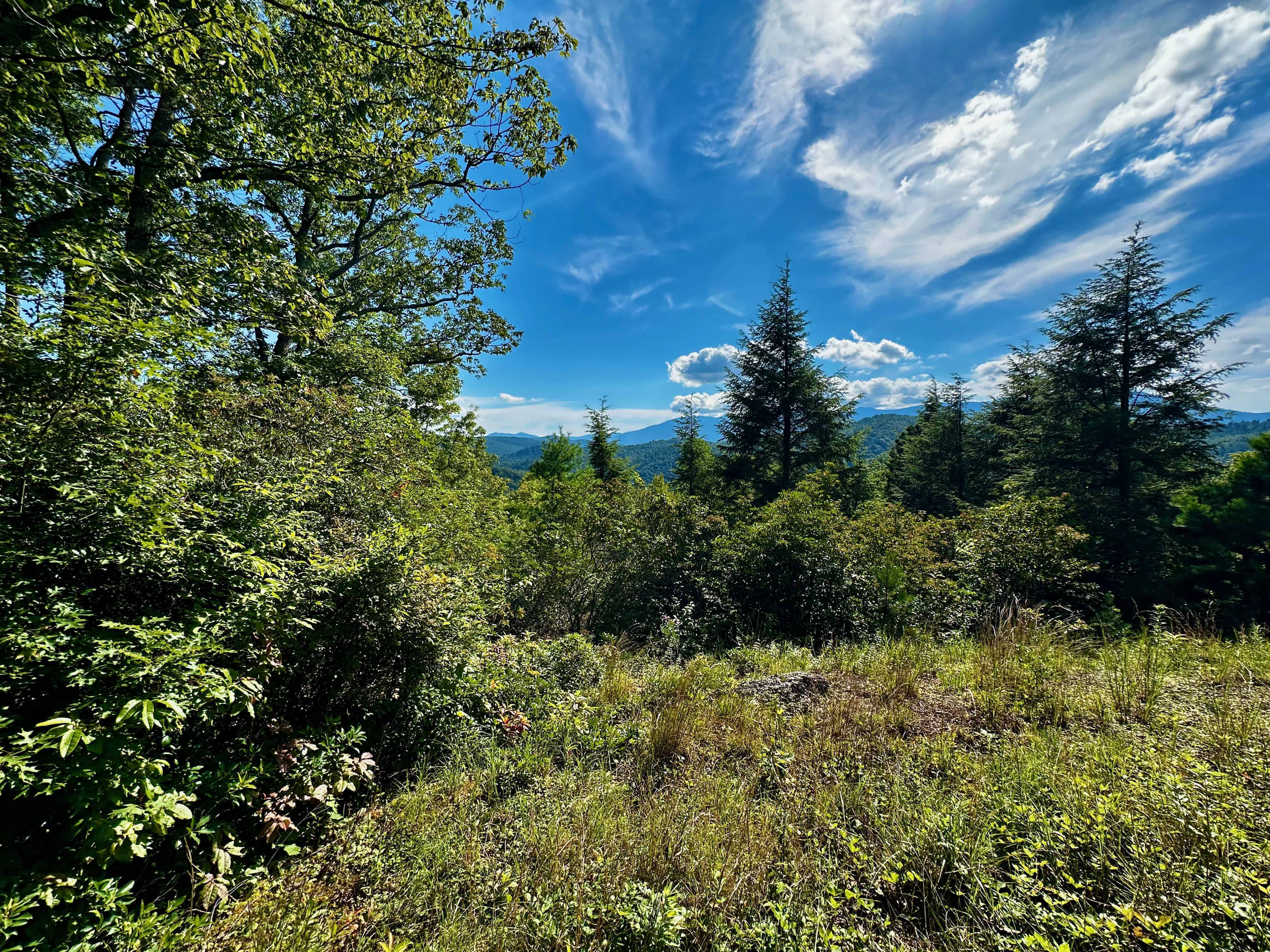 807 Pine Tree Road Spruce Pine NC 28777