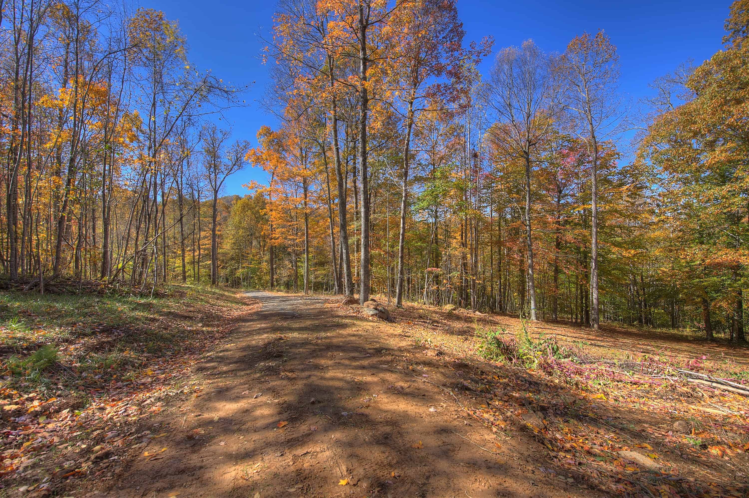 0 Pebble Ridge Road Spruce Pine NC 28777