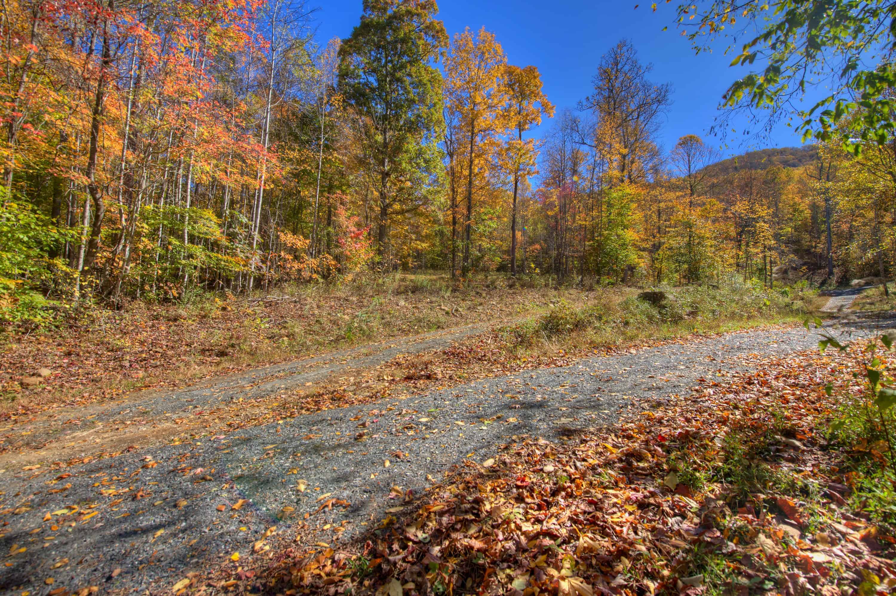 0 Pebble Ridge Road Spruce Pine NC 28777