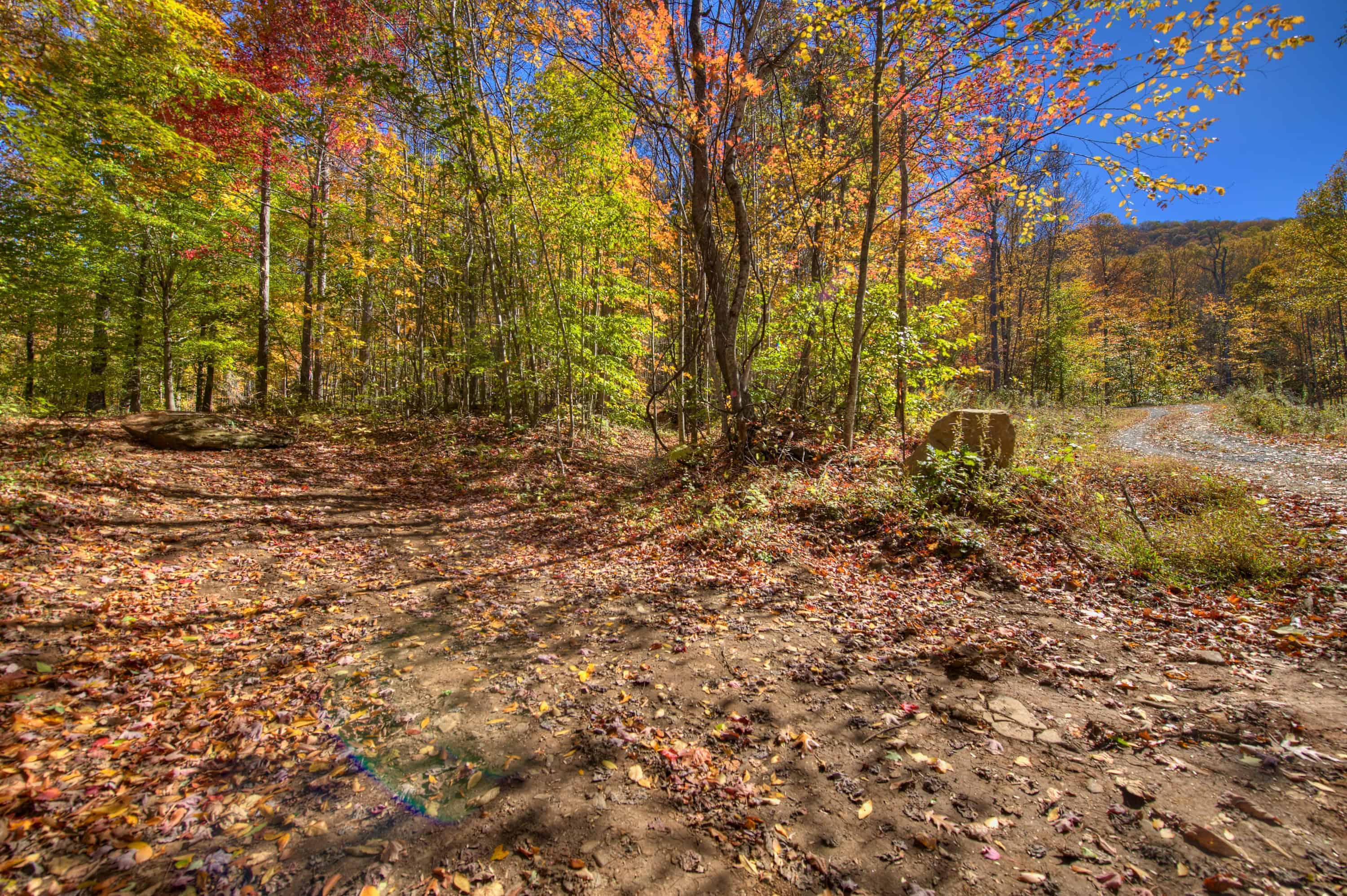 0 Pebble Ridge Road Spruce Pine NC 28777