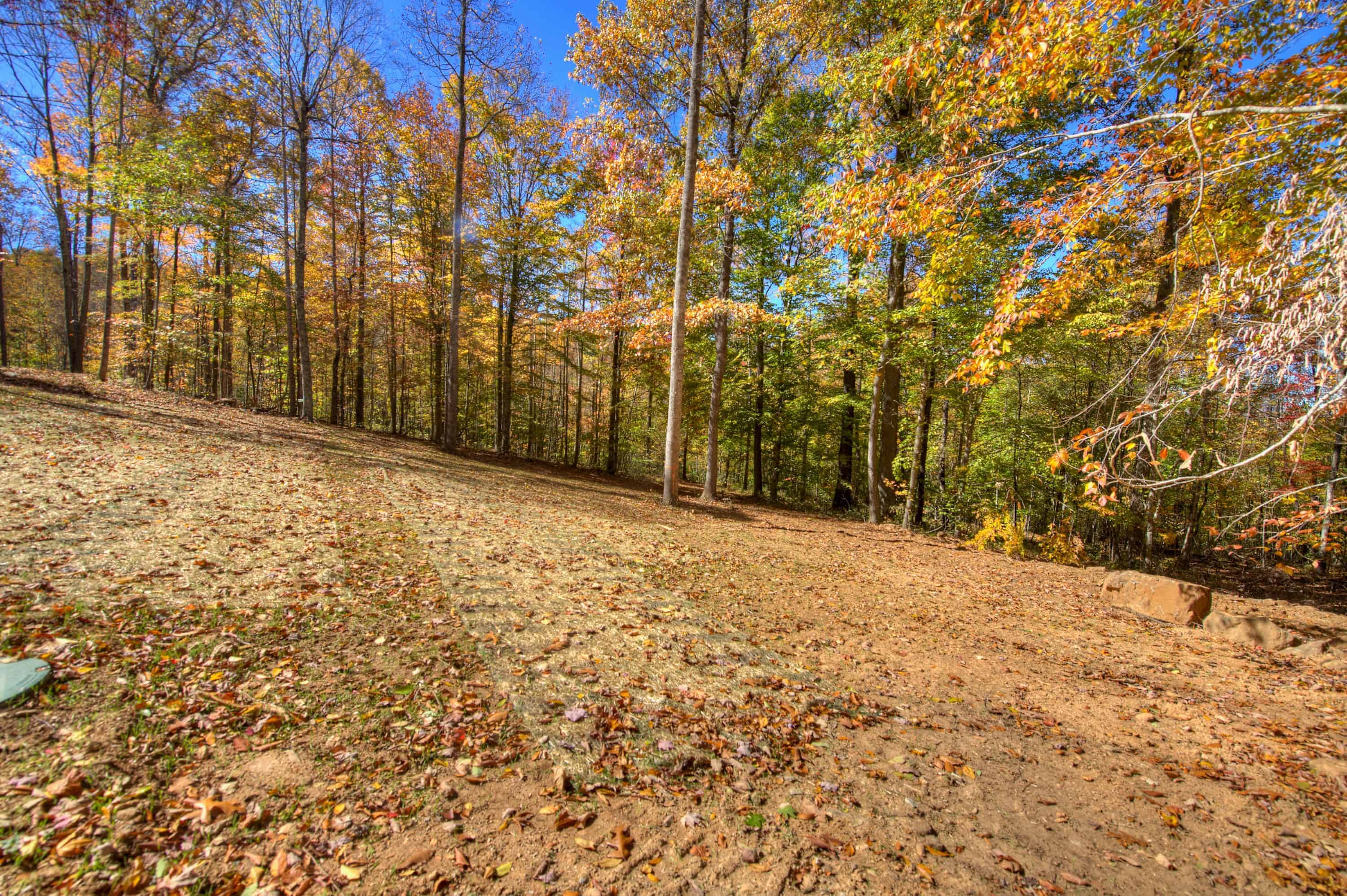 0 Pebble Ridge Road Spruce Pine NC 28777