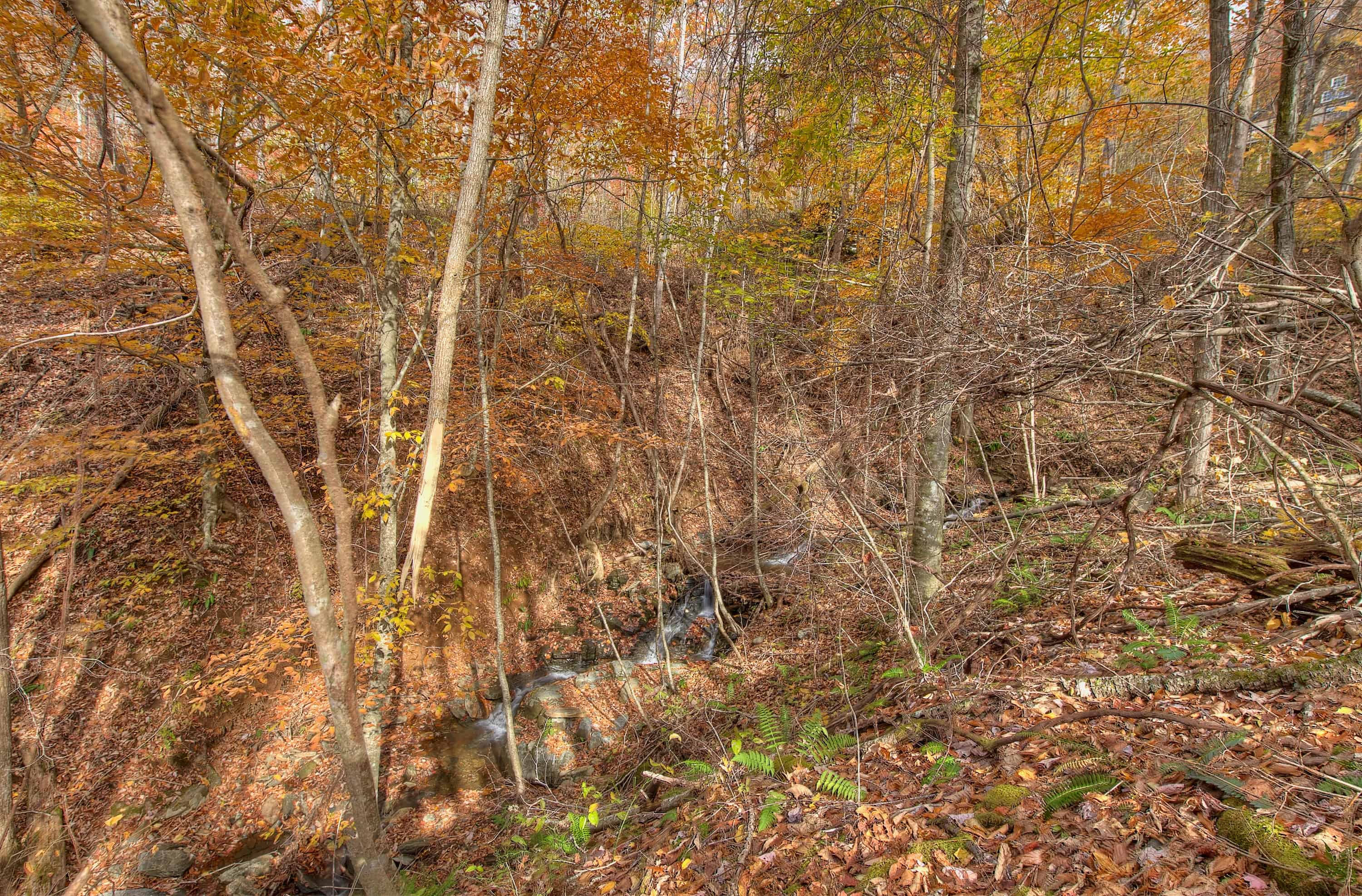 0 Pebble Ridge Road Spruce Pine NC 28777