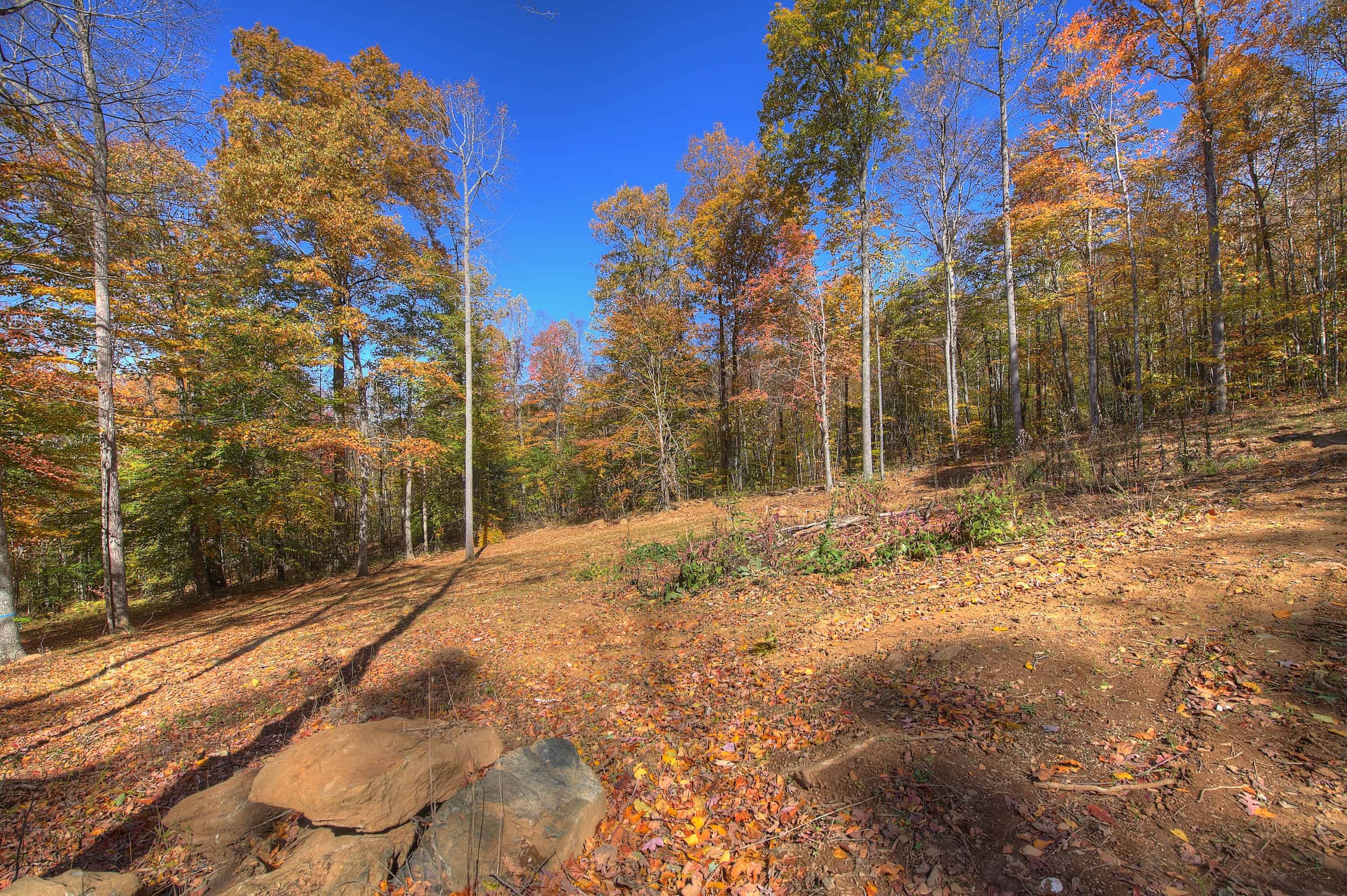 0 Pebble Ridge Road Spruce Pine NC 28777