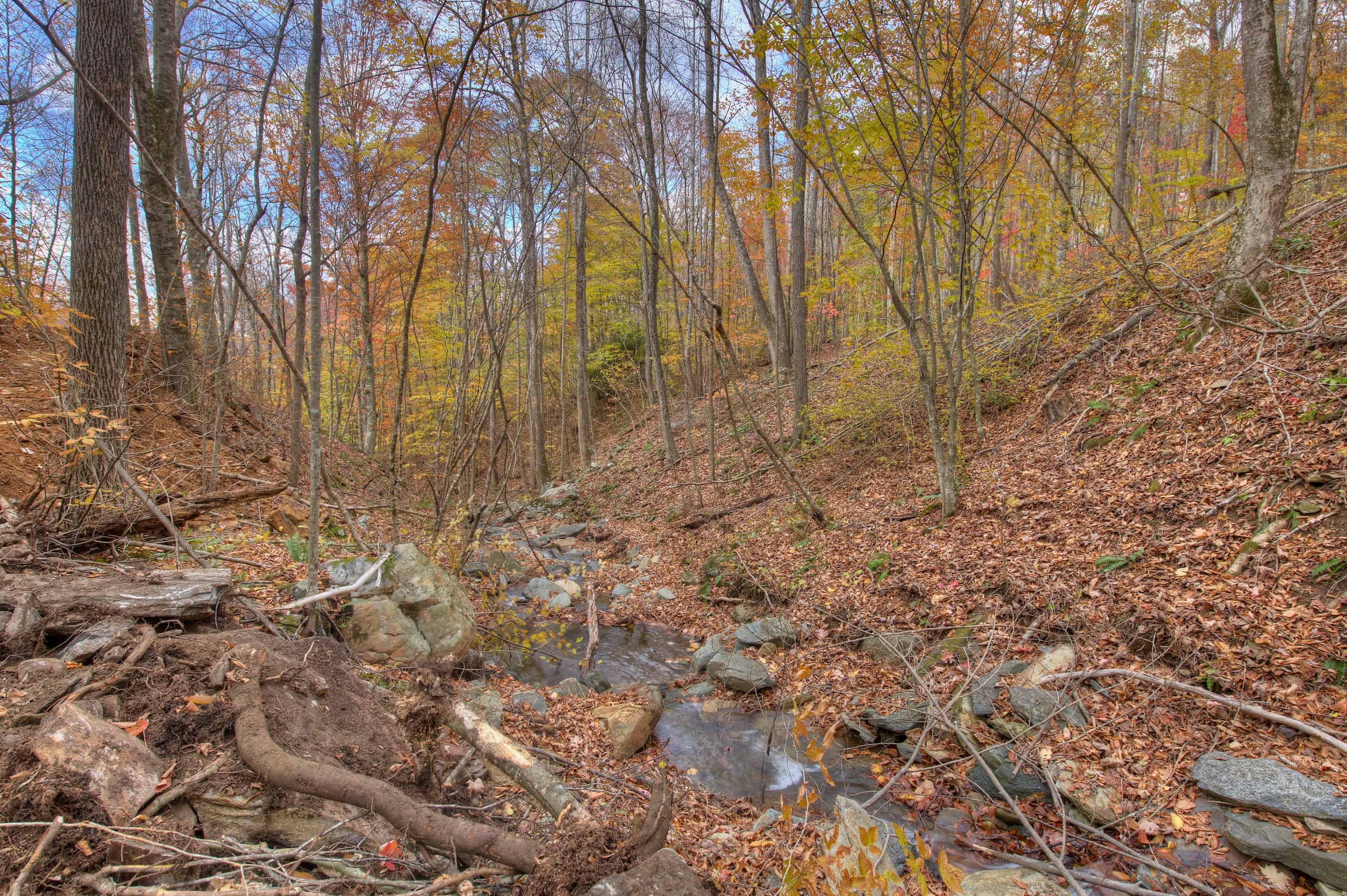 0 Pebble Ridge Road Spruce Pine NC 28777