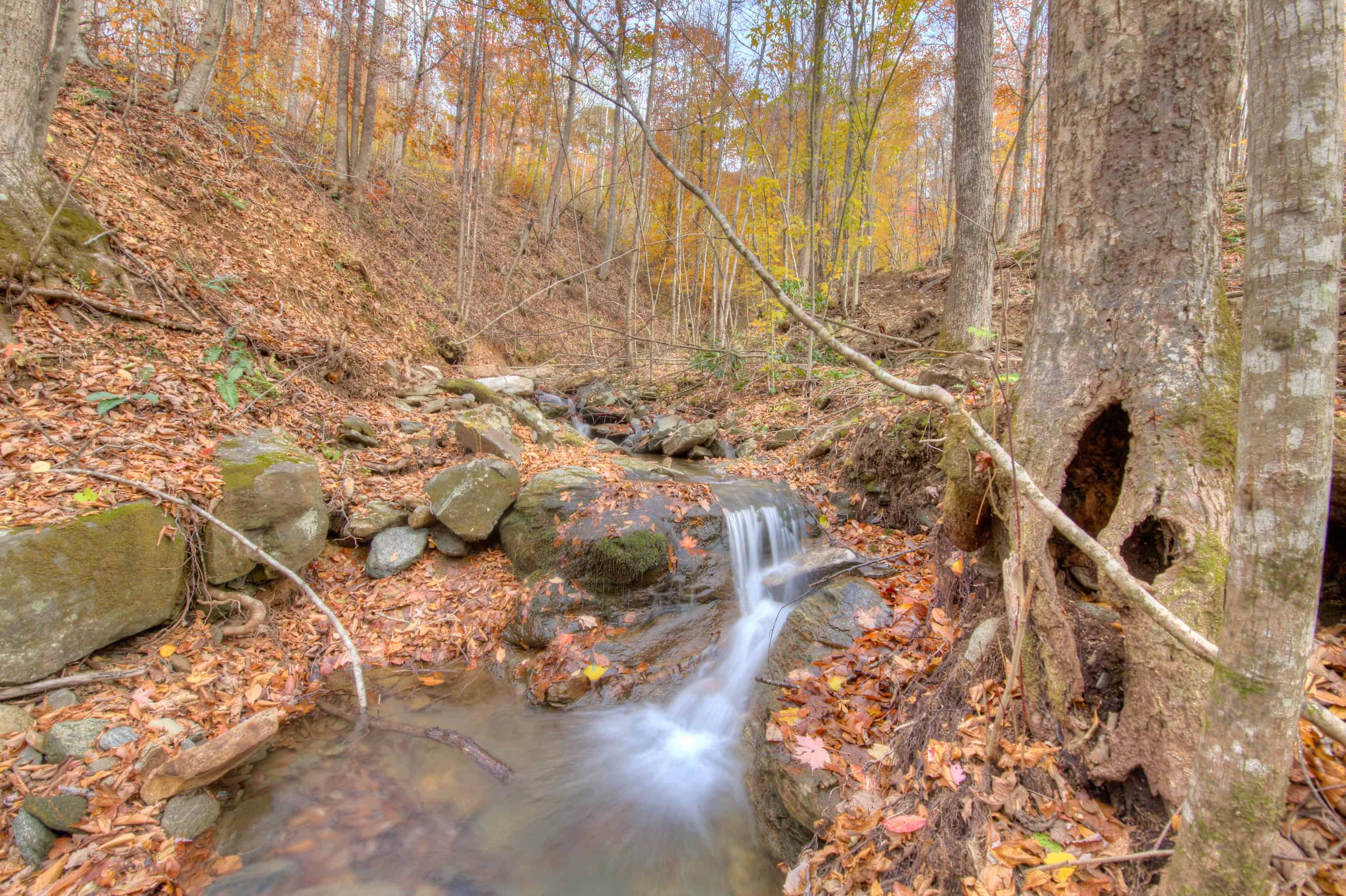 0 Pebble Ridge Road Spruce Pine NC 28777