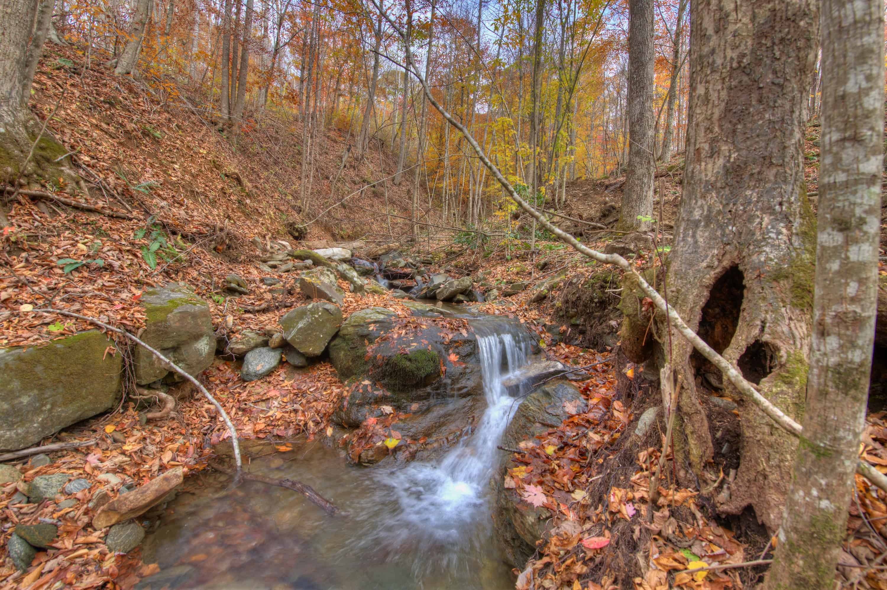 0 Pebble Ridge Road Spruce Pine NC 28777