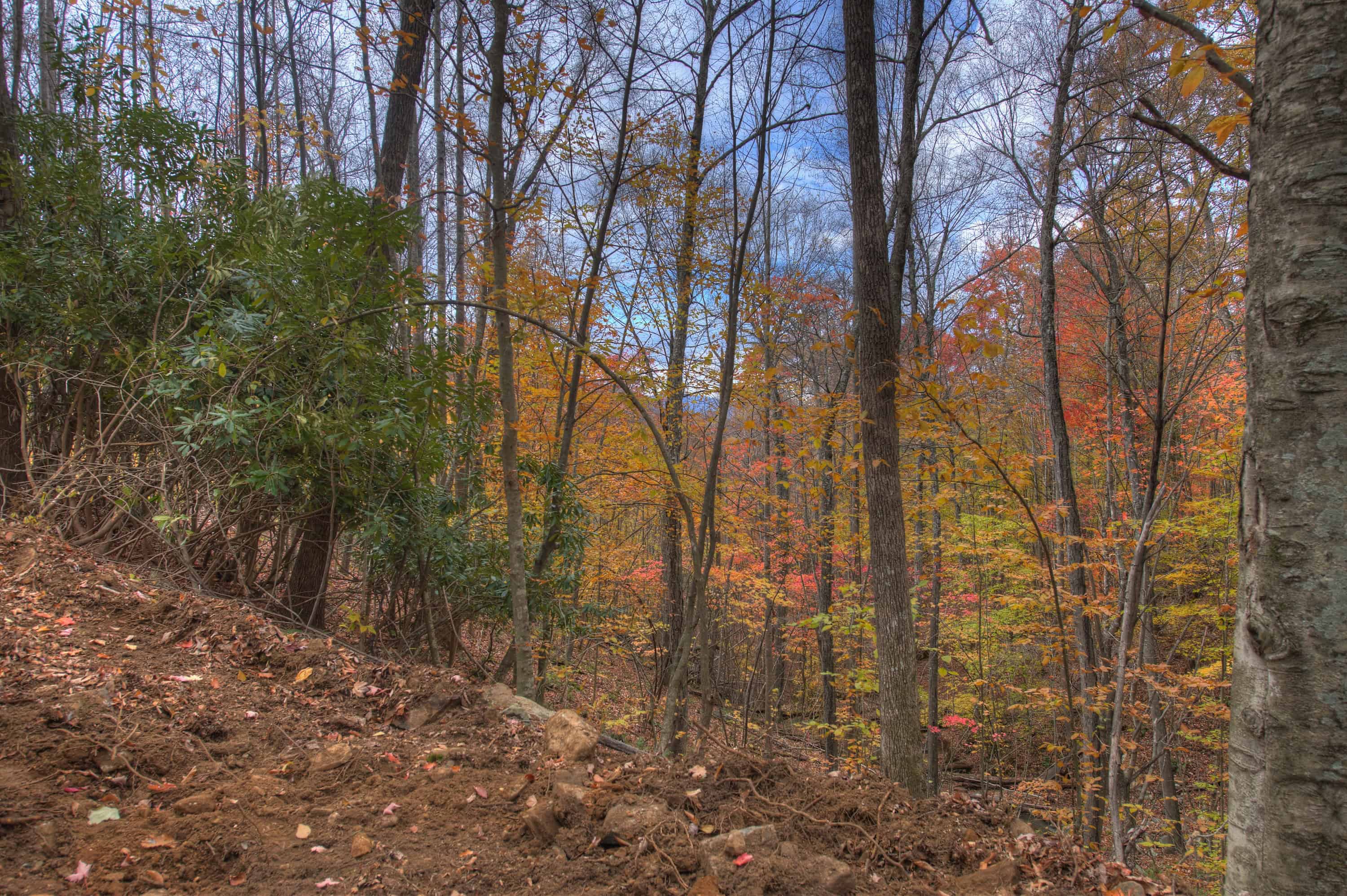 0 Pebble Ridge Road Spruce Pine NC 28777