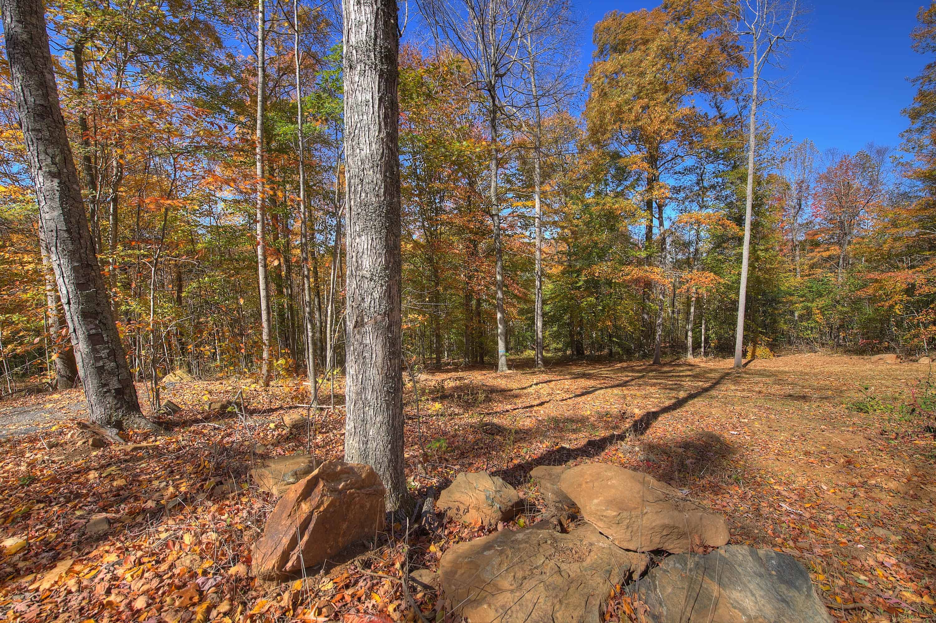 0 Pebble Ridge Road Spruce Pine NC 28777