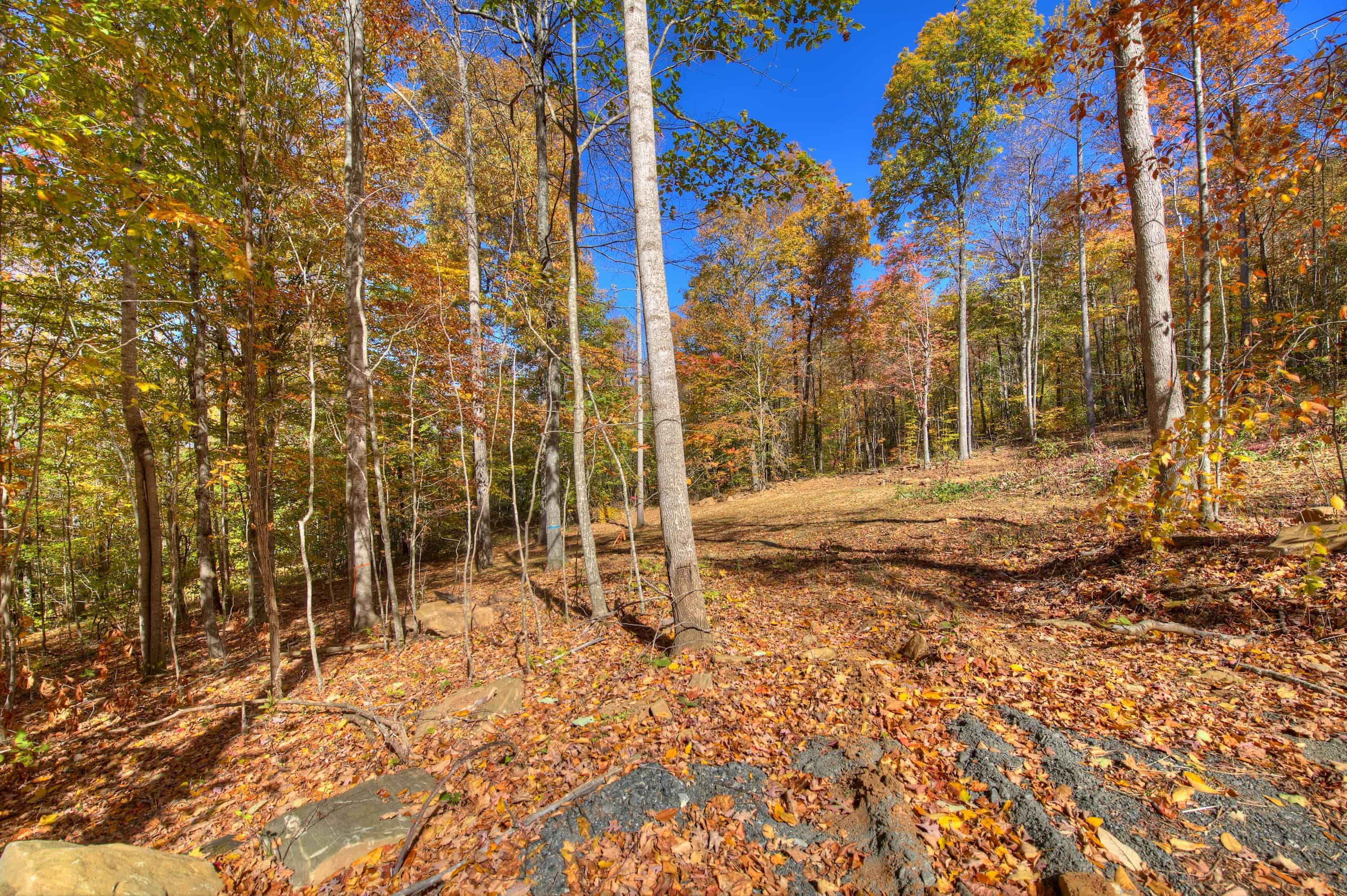 0 Pebble Ridge Road Spruce Pine NC 28777