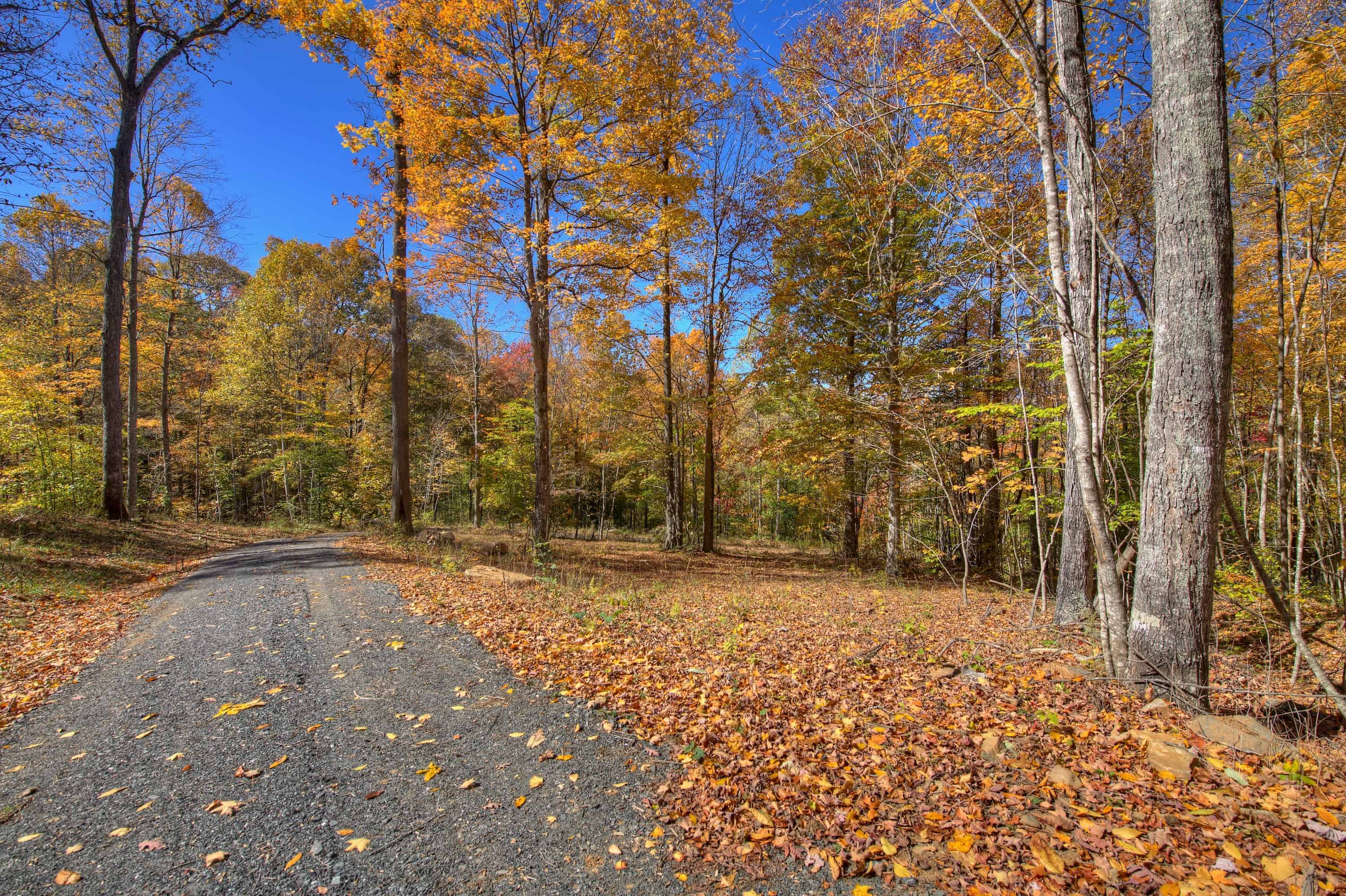 0 Pebble Ridge Road Spruce Pine NC 28777